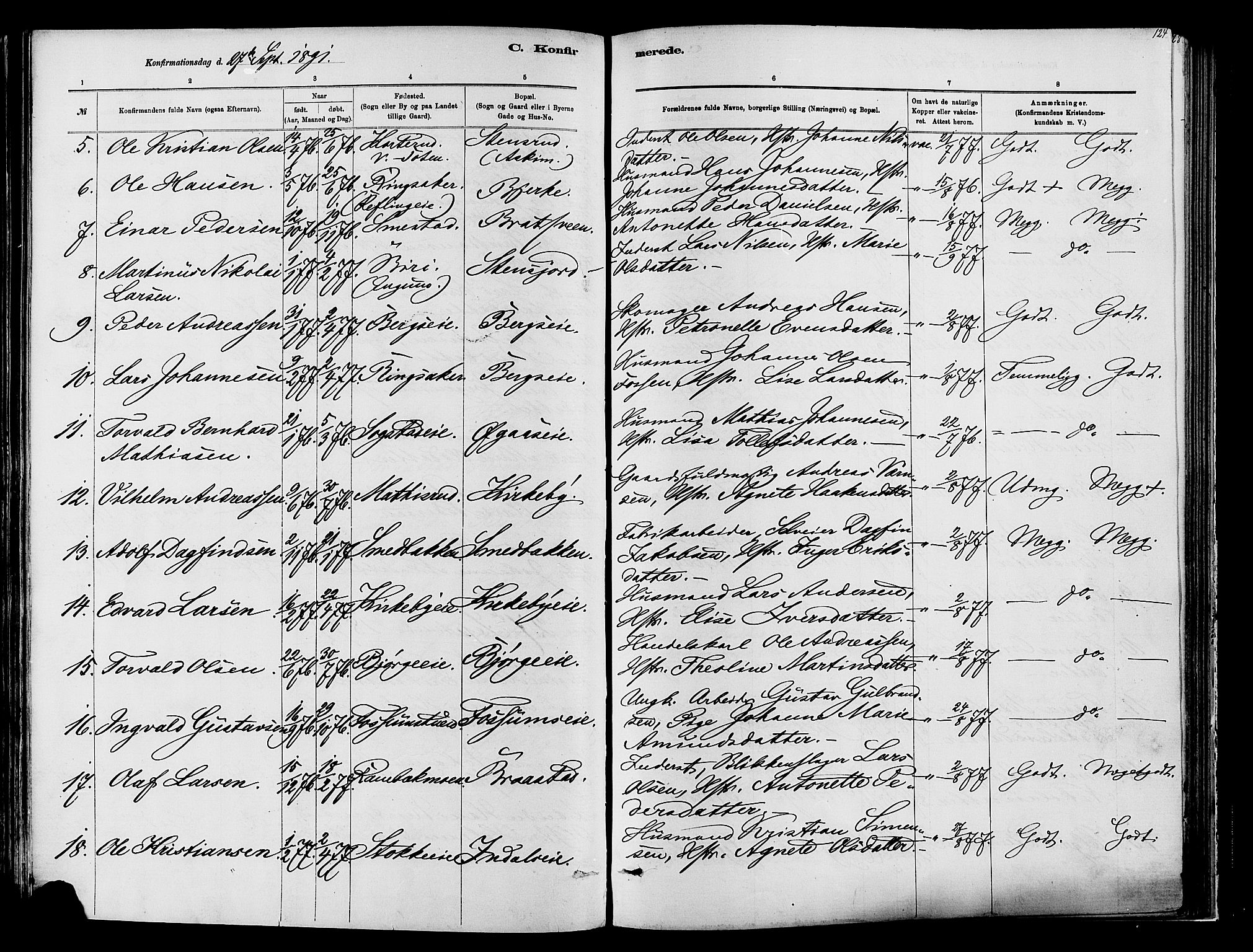 Vardal prestekontor, SAH/PREST-100/H/Ha/Haa/L0009: Parish register (official) no. 9, 1878-1892, p. 124