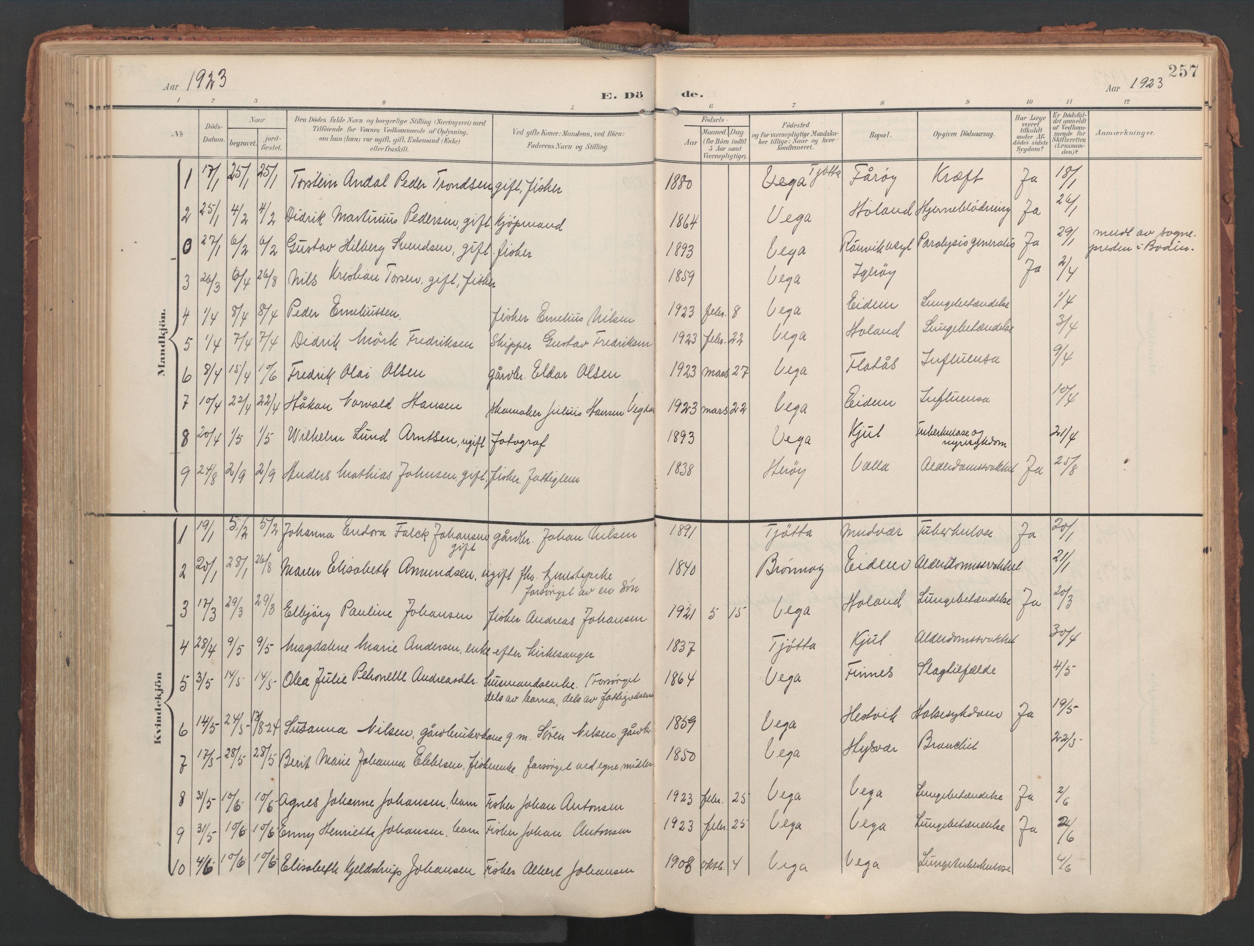 Ministerialprotokoller, klokkerbøker og fødselsregistre - Nordland, AV/SAT-A-1459/816/L0250: Parish register (official) no. 816A16, 1903-1923, p. 257