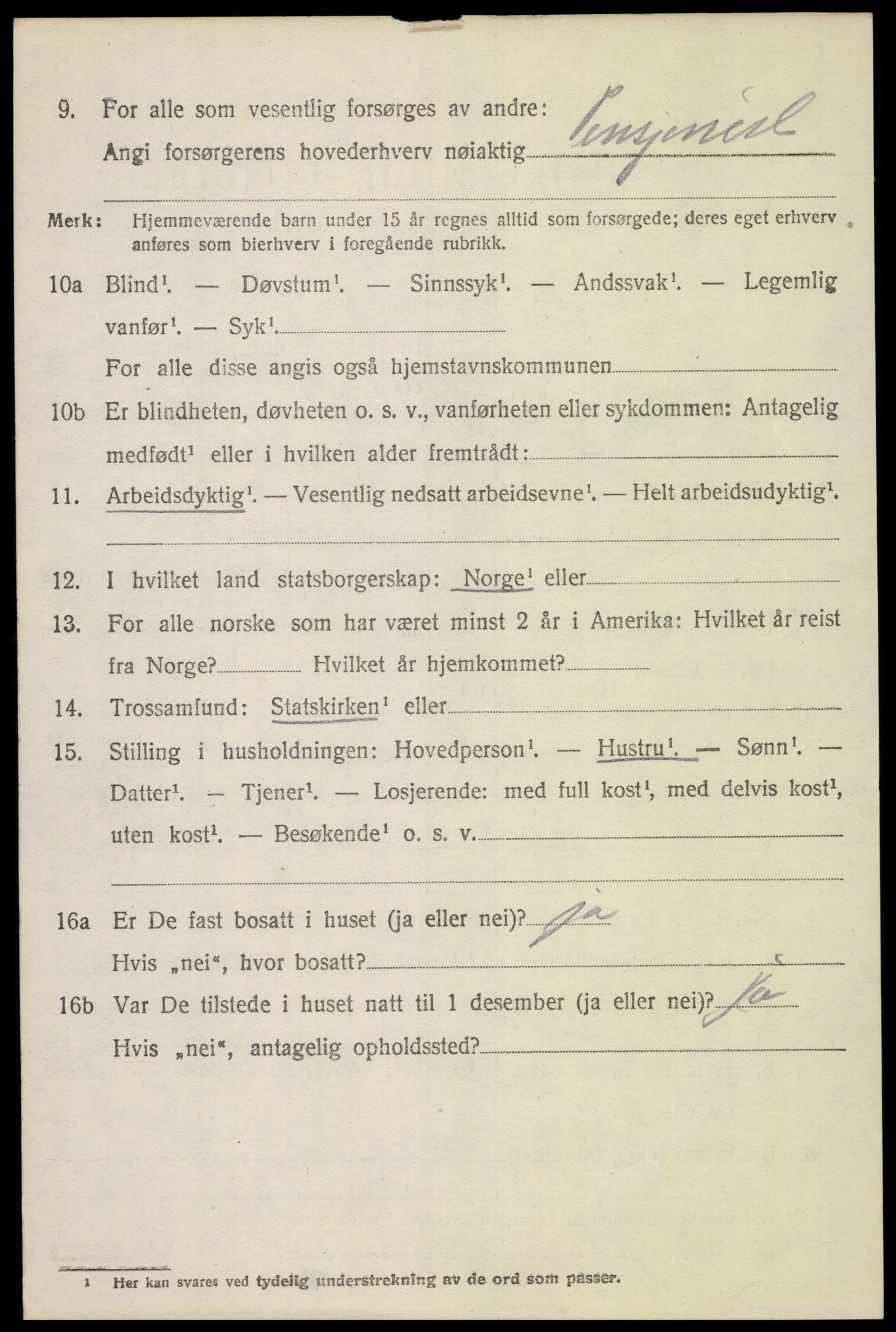 SAH, 1920 census for Dovre, 1920, p. 4541