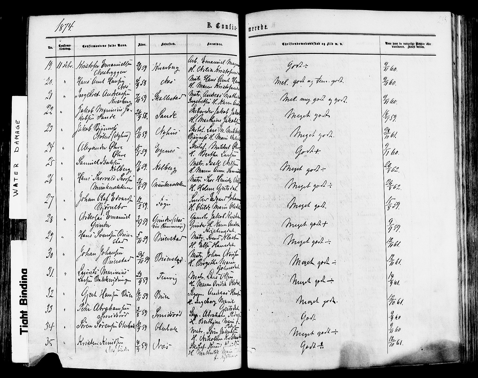 Nøtterøy kirkebøker, AV/SAKO-A-354/F/Fa/L0007: Parish register (official) no. I 7, 1865-1877, p. 248