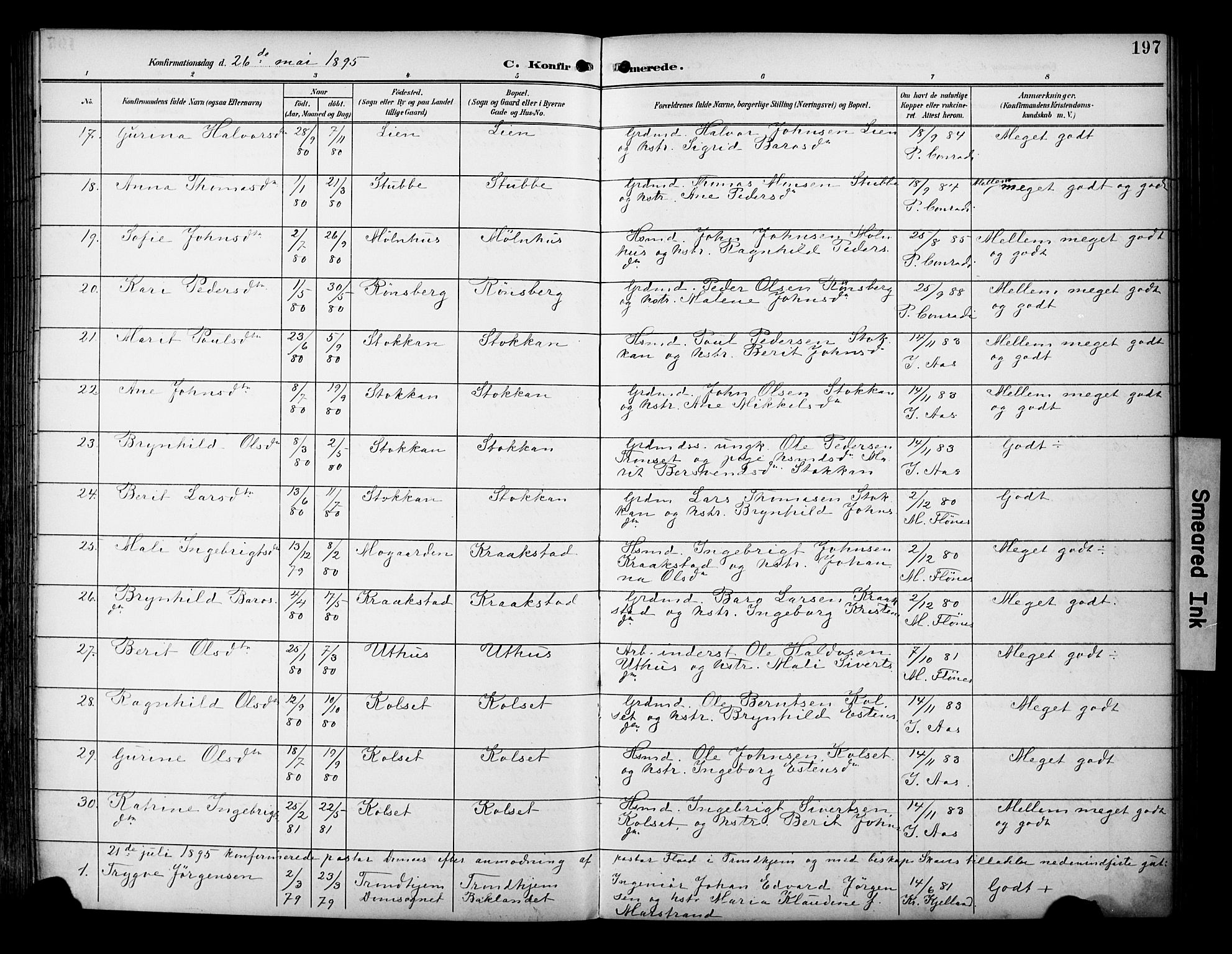 Ministerialprotokoller, klokkerbøker og fødselsregistre - Sør-Trøndelag, AV/SAT-A-1456/695/L1149: Parish register (official) no. 695A09, 1891-1902, p. 197