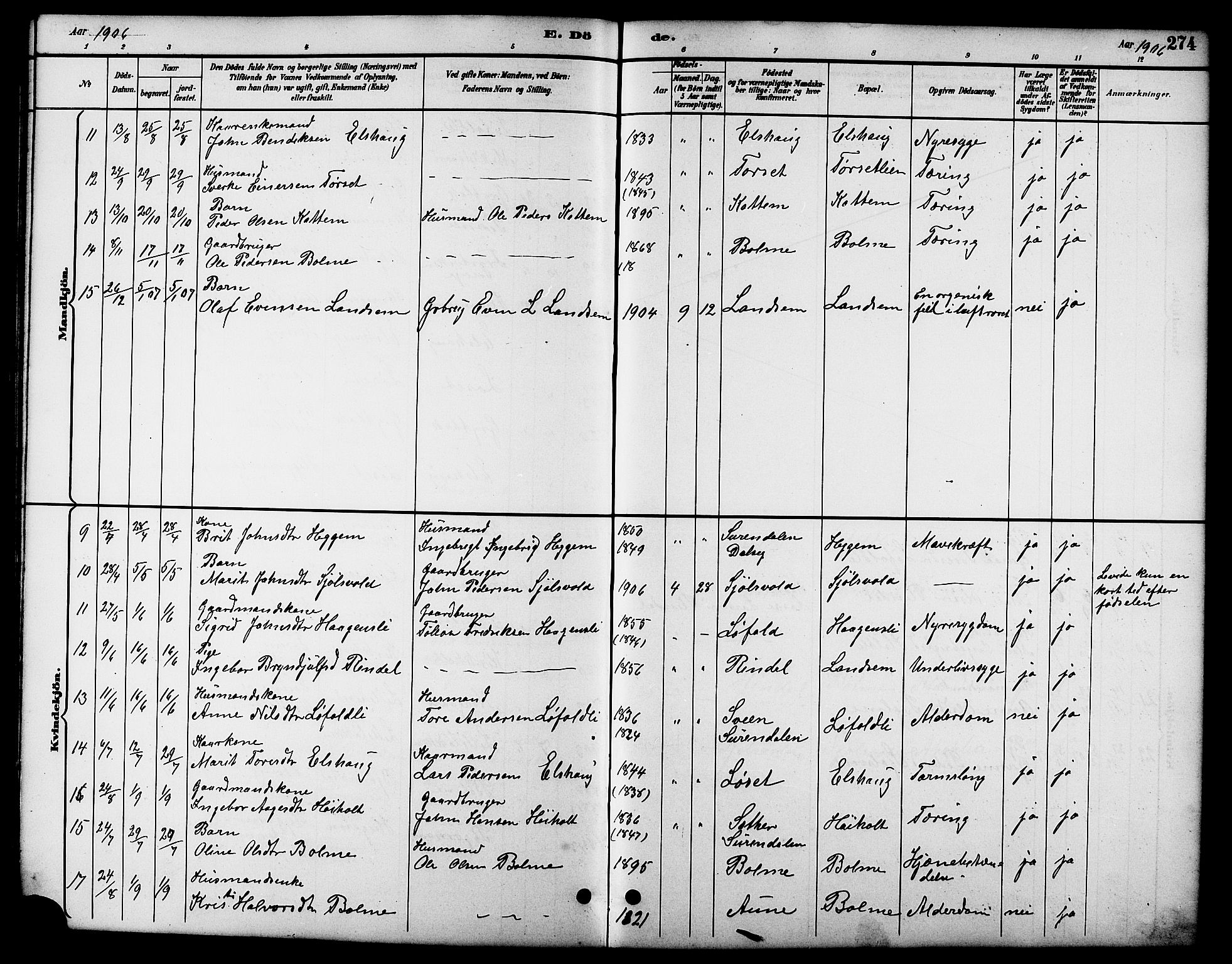 Ministerialprotokoller, klokkerbøker og fødselsregistre - Møre og Romsdal, AV/SAT-A-1454/598/L1078: Parish register (copy) no. 598C03, 1892-1909, p. 274