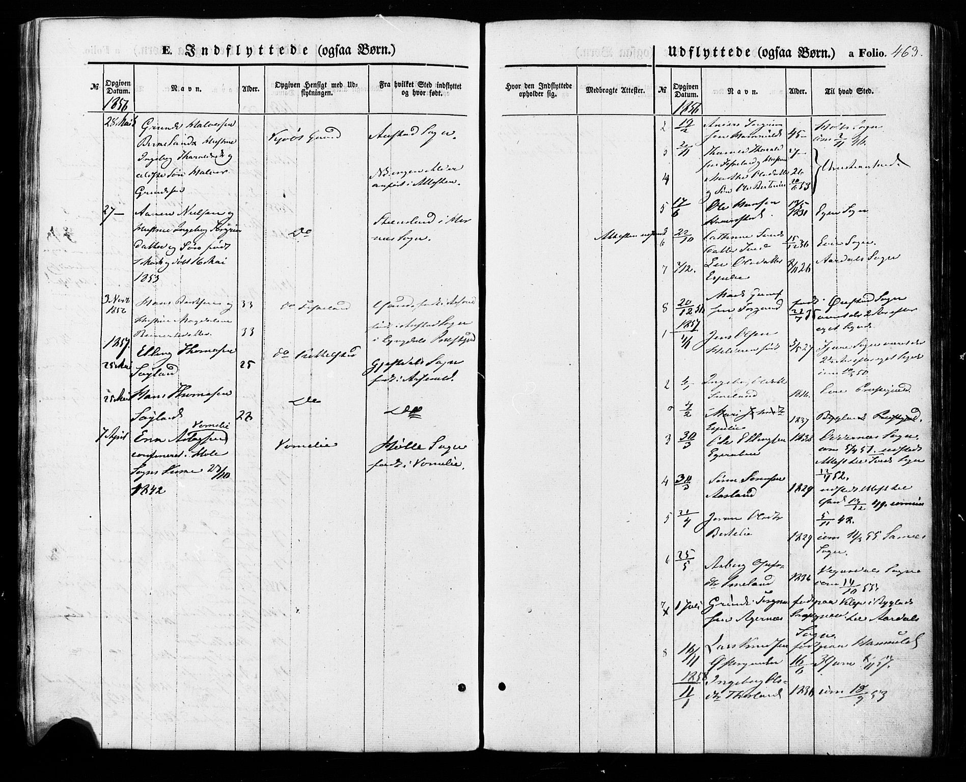 Åseral sokneprestkontor, SAK/1111-0051/F/Fa/L0002: Parish register (official) no. A 2, 1854-1884, p. 463