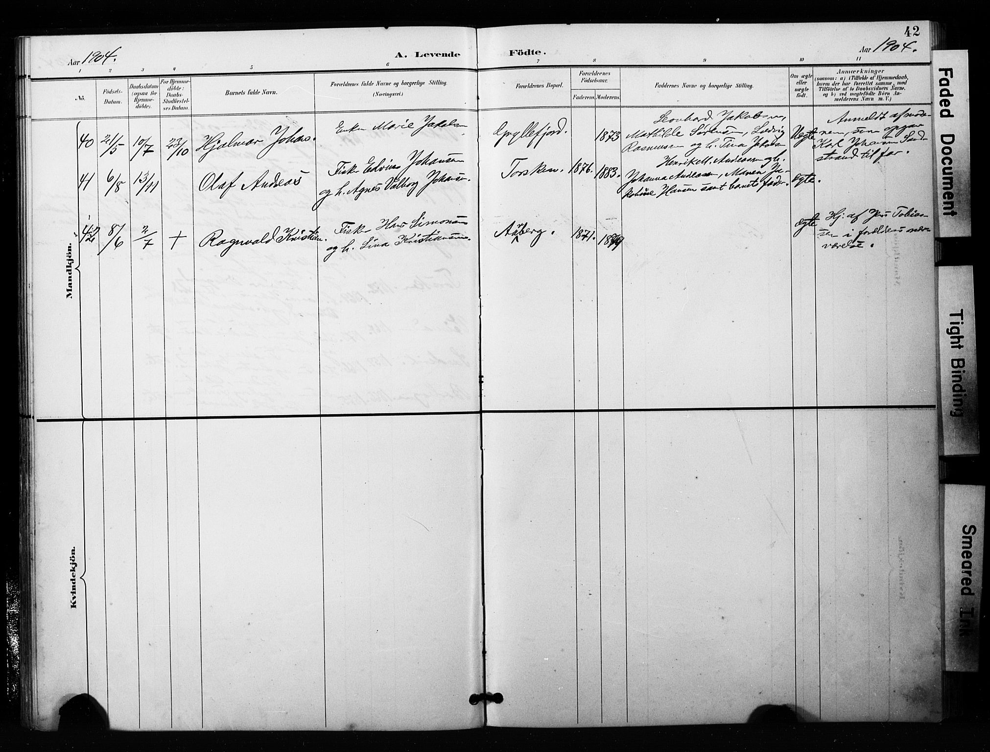 Berg sokneprestkontor, SATØ/S-1318/G/Ga/Gaa/L0006kirke: Parish register (official) no. 6, 1894-1904, p. 42