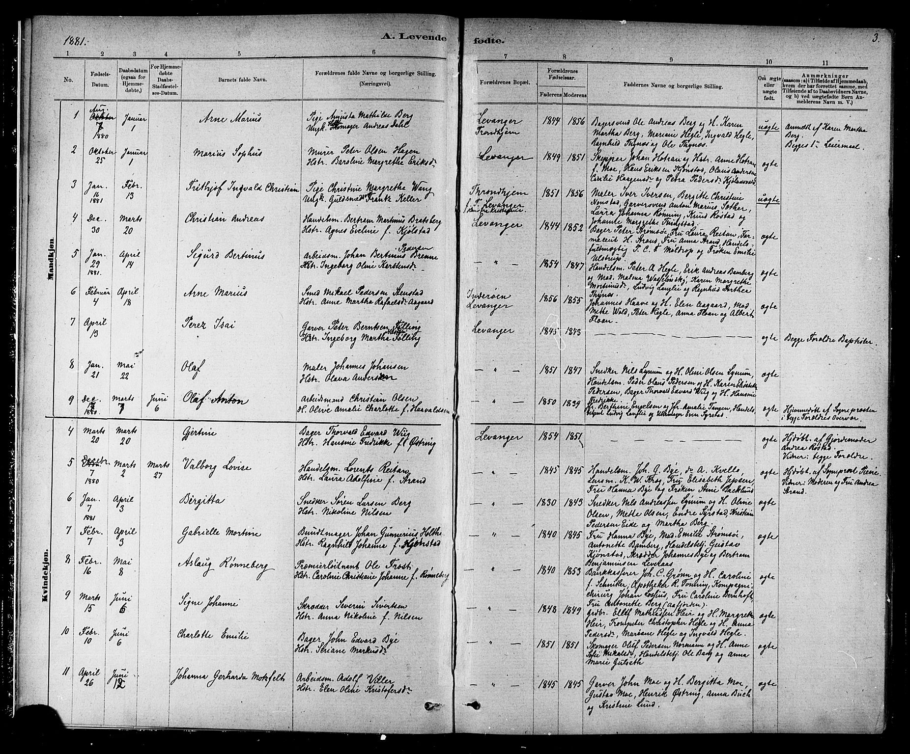 Ministerialprotokoller, klokkerbøker og fødselsregistre - Nord-Trøndelag, AV/SAT-A-1458/720/L0192: Parish register (copy) no. 720C01, 1880-1917, p. 3