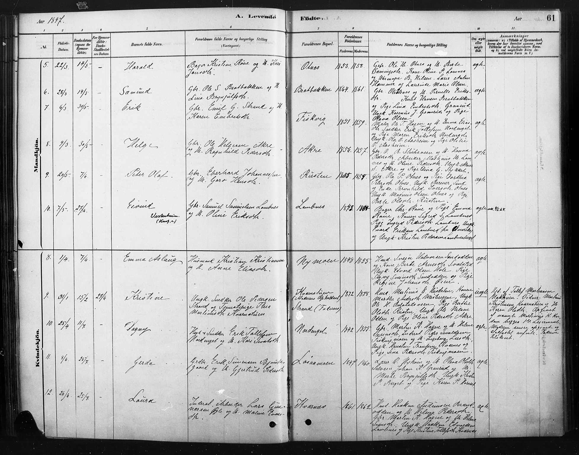 Rendalen prestekontor, SAH/PREST-054/H/Ha/Haa/L0010: Parish register (official) no. 10, 1878-1901, p. 61
