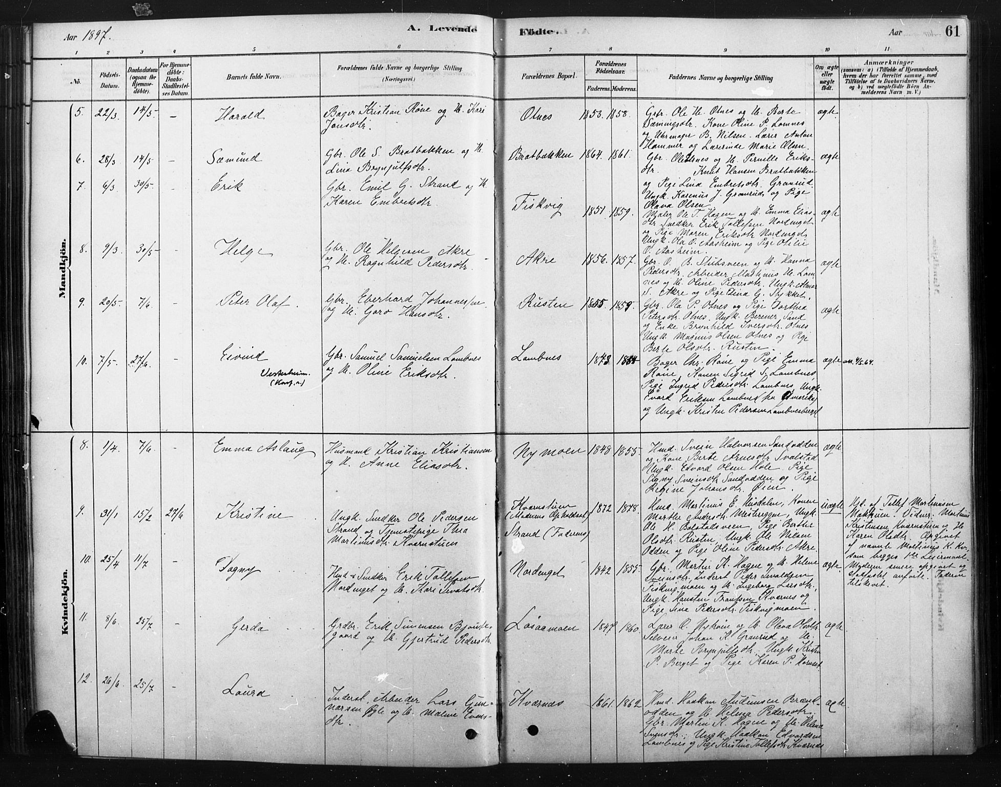 Rendalen prestekontor, AV/SAH-PREST-054/H/Ha/Haa/L0010: Parish register (official) no. 10, 1878-1901, p. 61