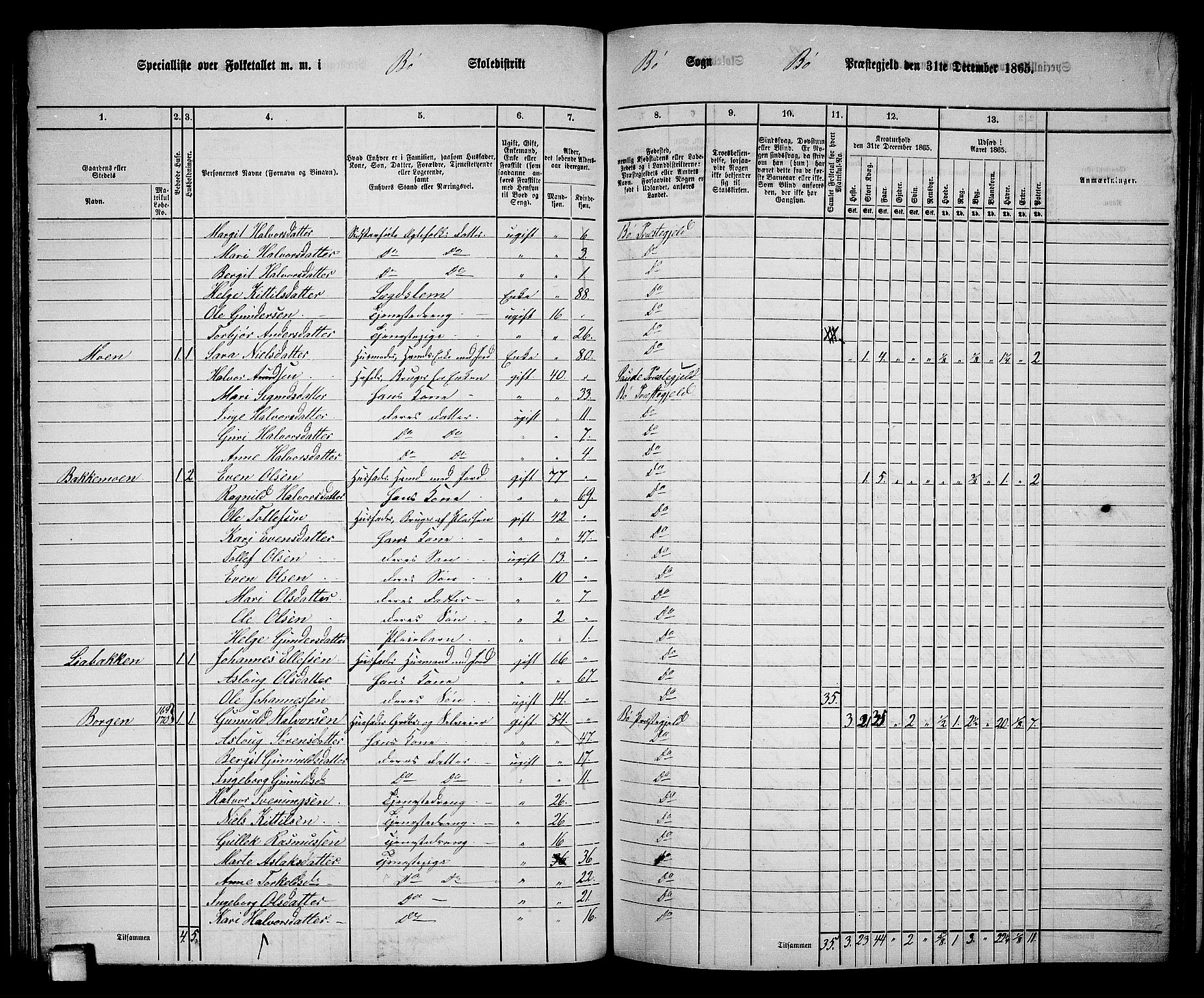 RA, 1865 census for Bø, 1865, p. 91