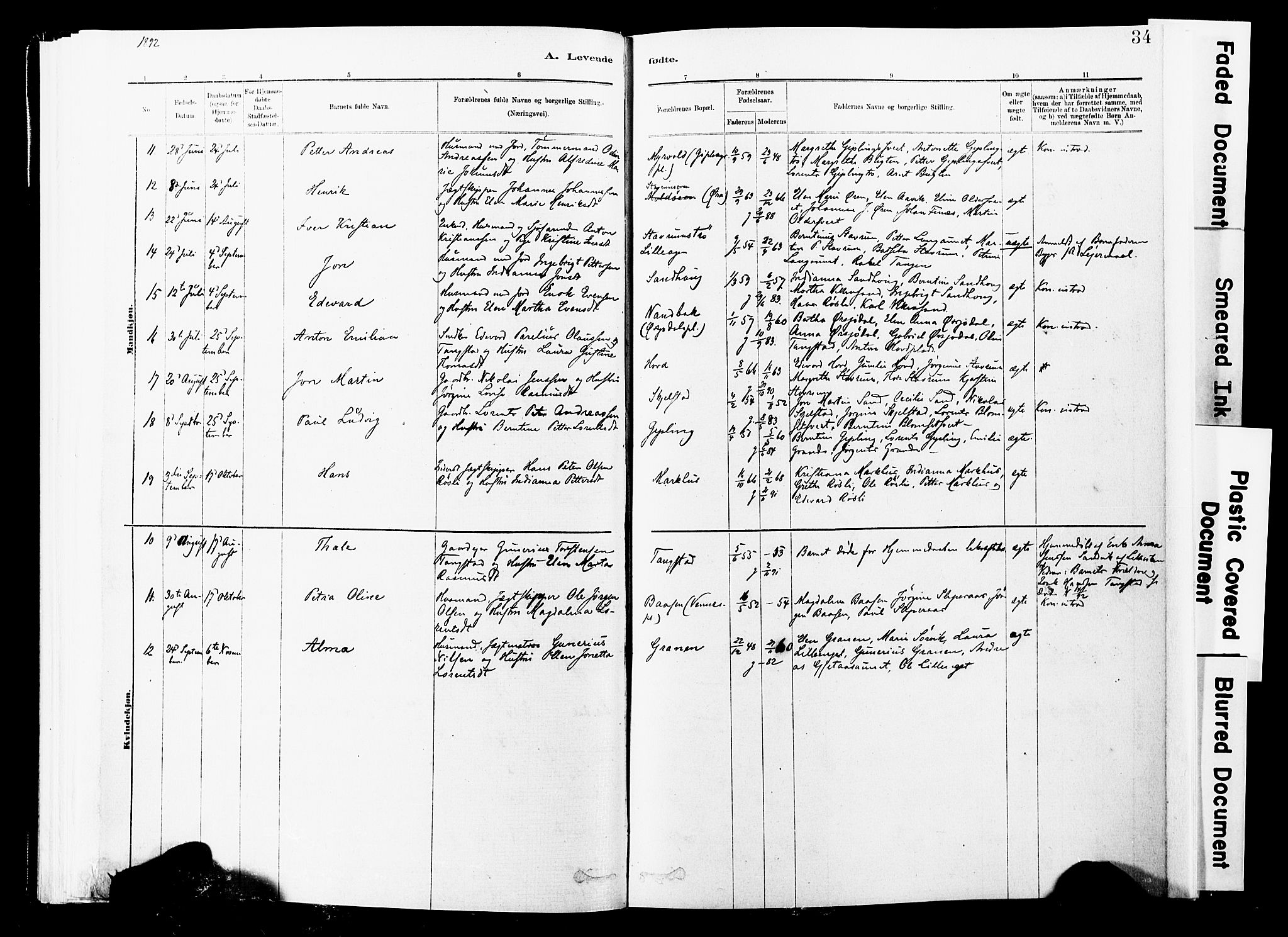 Ministerialprotokoller, klokkerbøker og fødselsregistre - Nord-Trøndelag, SAT/A-1458/744/L0420: Parish register (official) no. 744A04, 1882-1904, p. 34