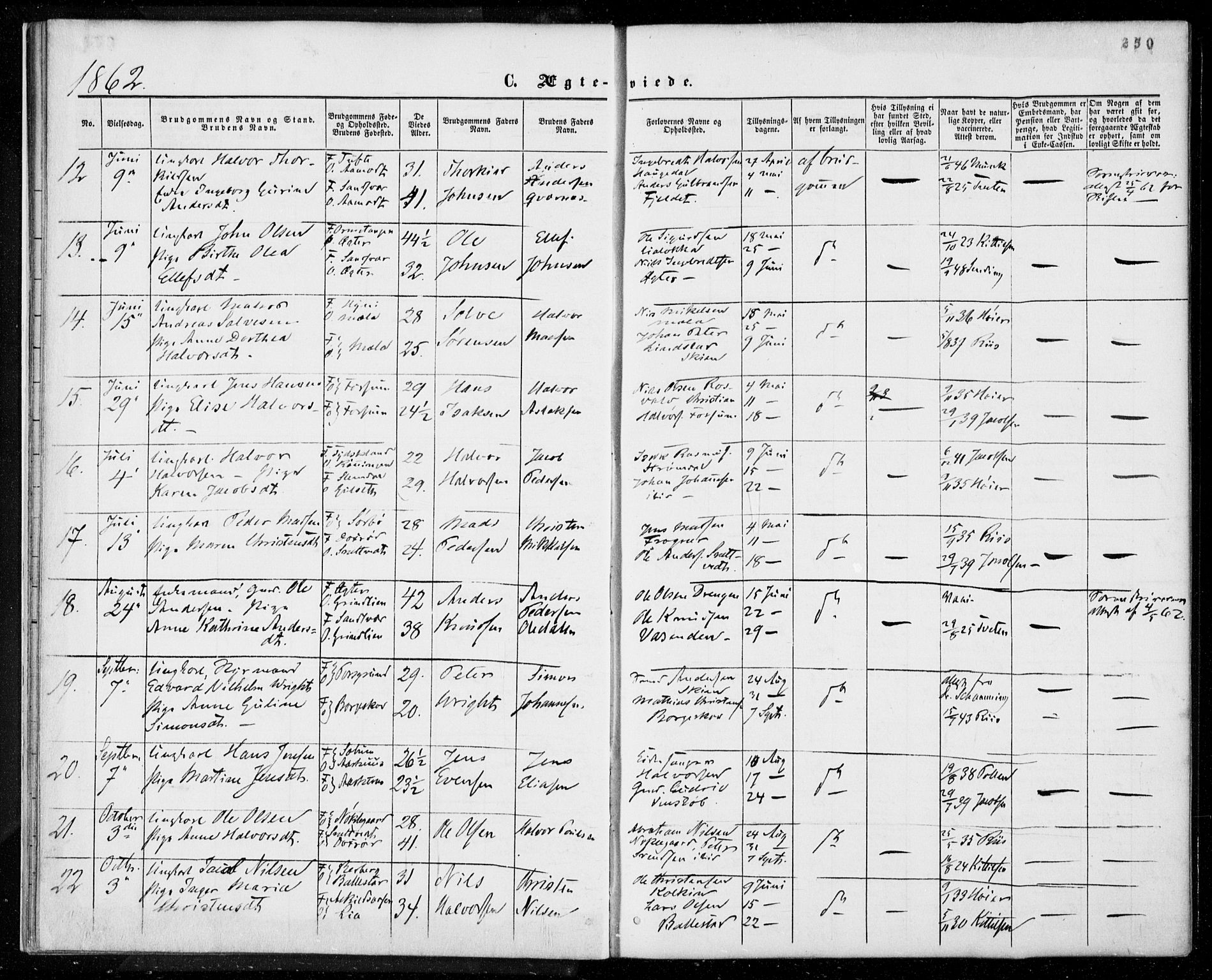 Gjerpen kirkebøker, SAKO/A-265/F/Fa/L0008b: Parish register (official) no. I 8B, 1857-1871, p. 250