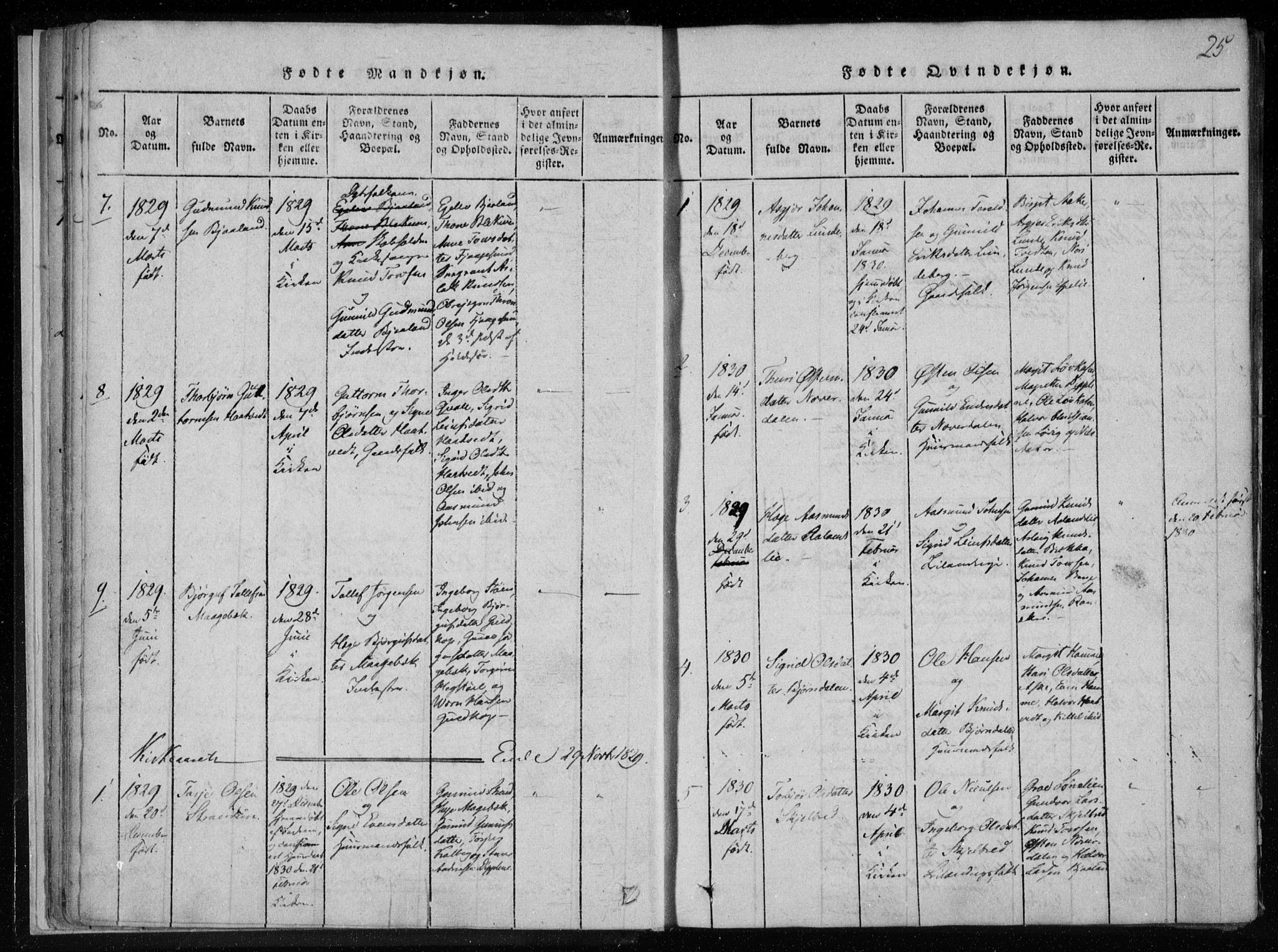 Lårdal kirkebøker, SAKO/A-284/F/Fa/L0005: Parish register (official) no. I 5, 1815-1860, p. 25