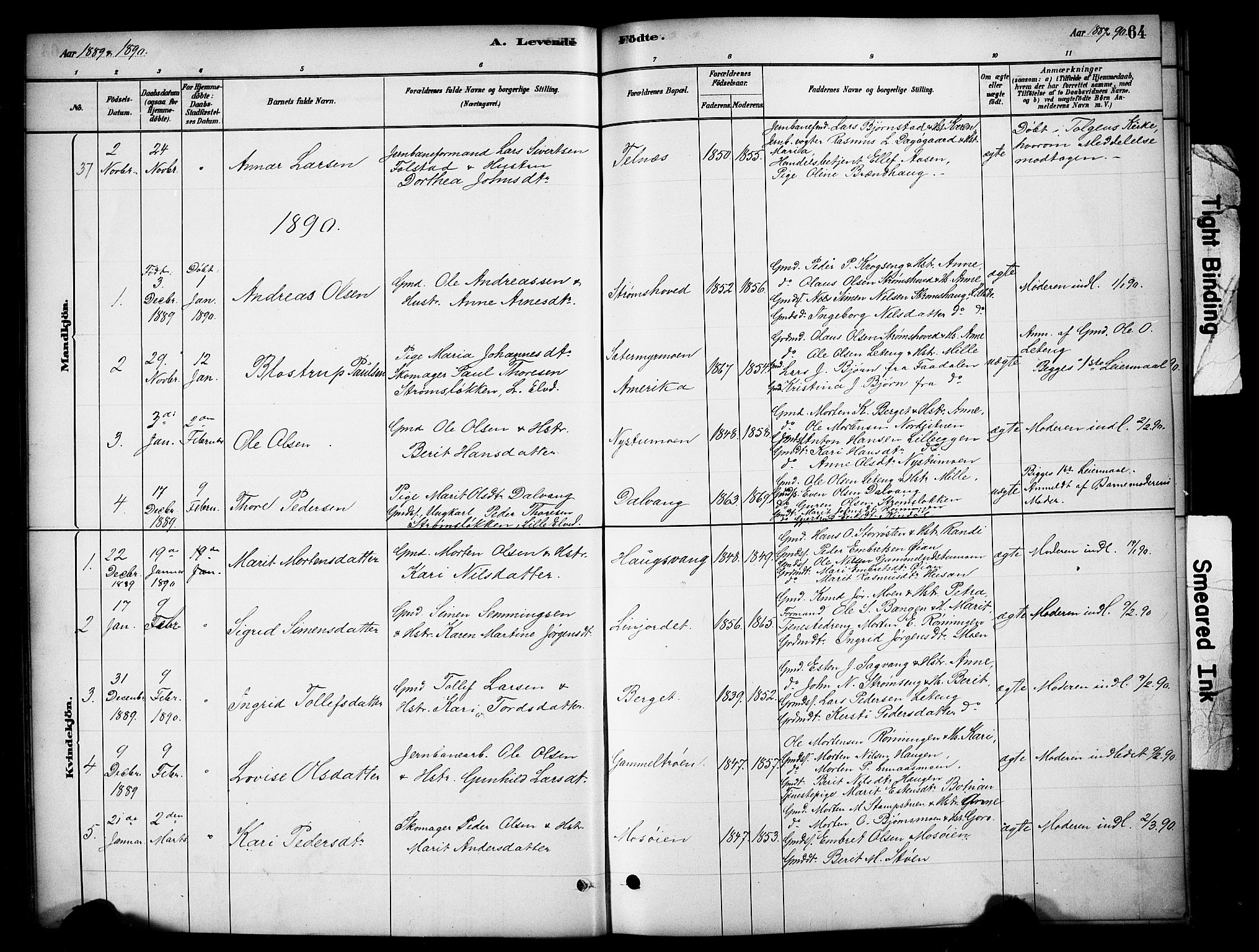 Tynset prestekontor, SAH/PREST-058/H/Ha/Hab/L0006: Parish register (copy) no. 6, 1880-1899, p. 64