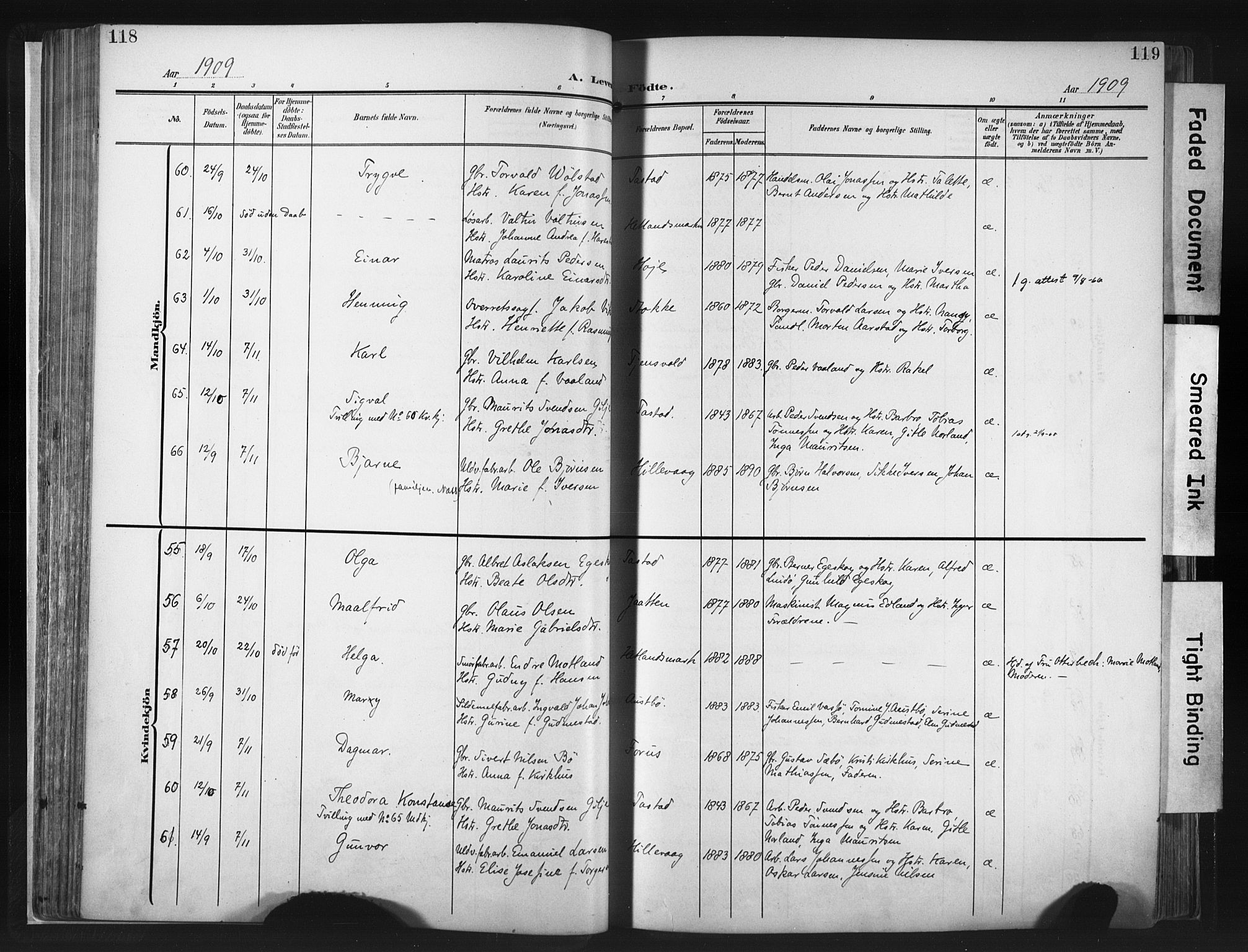 Hetland sokneprestkontor, AV/SAST-A-101826/30/30BA/L0013: Parish register (official) no. A 13, 1904-1918, p. 118-119