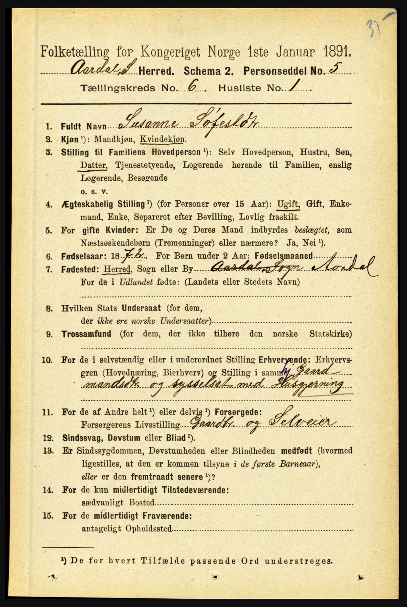 RA, 1891 census for 1424 Årdal, 1891, p. 1109