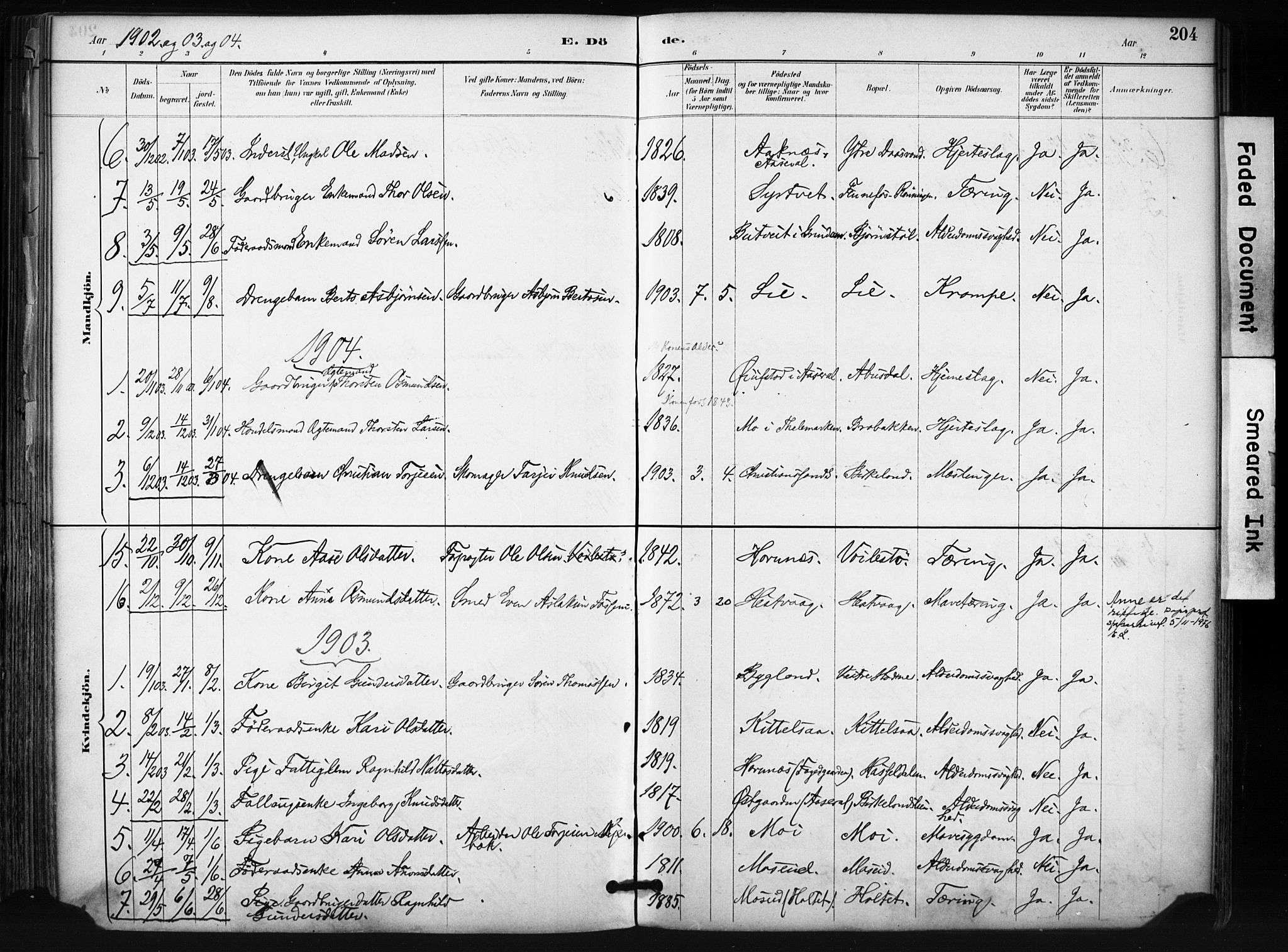 Evje sokneprestkontor, SAK/1111-0008/F/Fa/Fab/L0003: Parish register (official) no. A 3, 1884-1909, p. 204