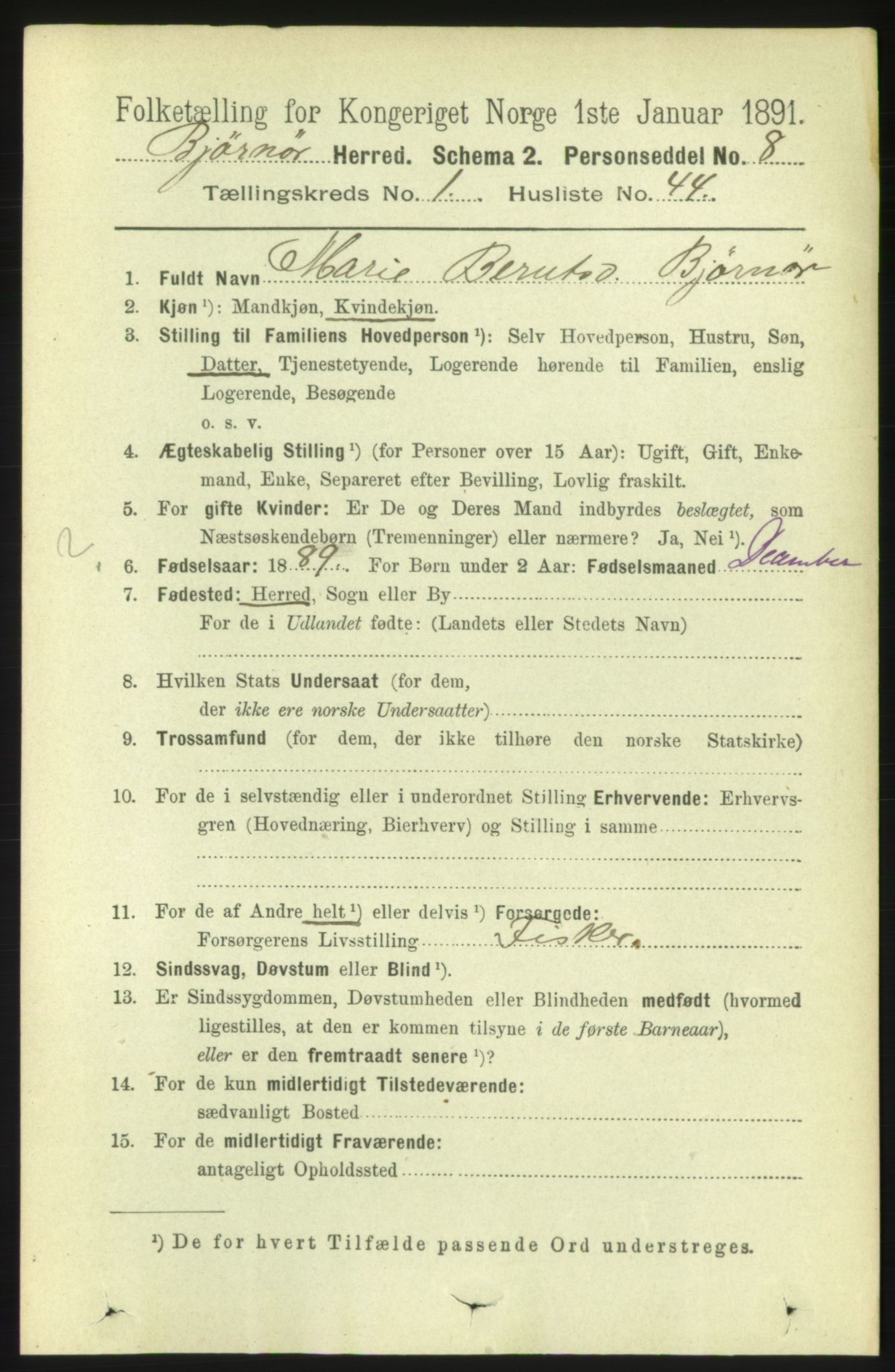 RA, 1891 census for 1632 Bjørnør, 1891, p. 381