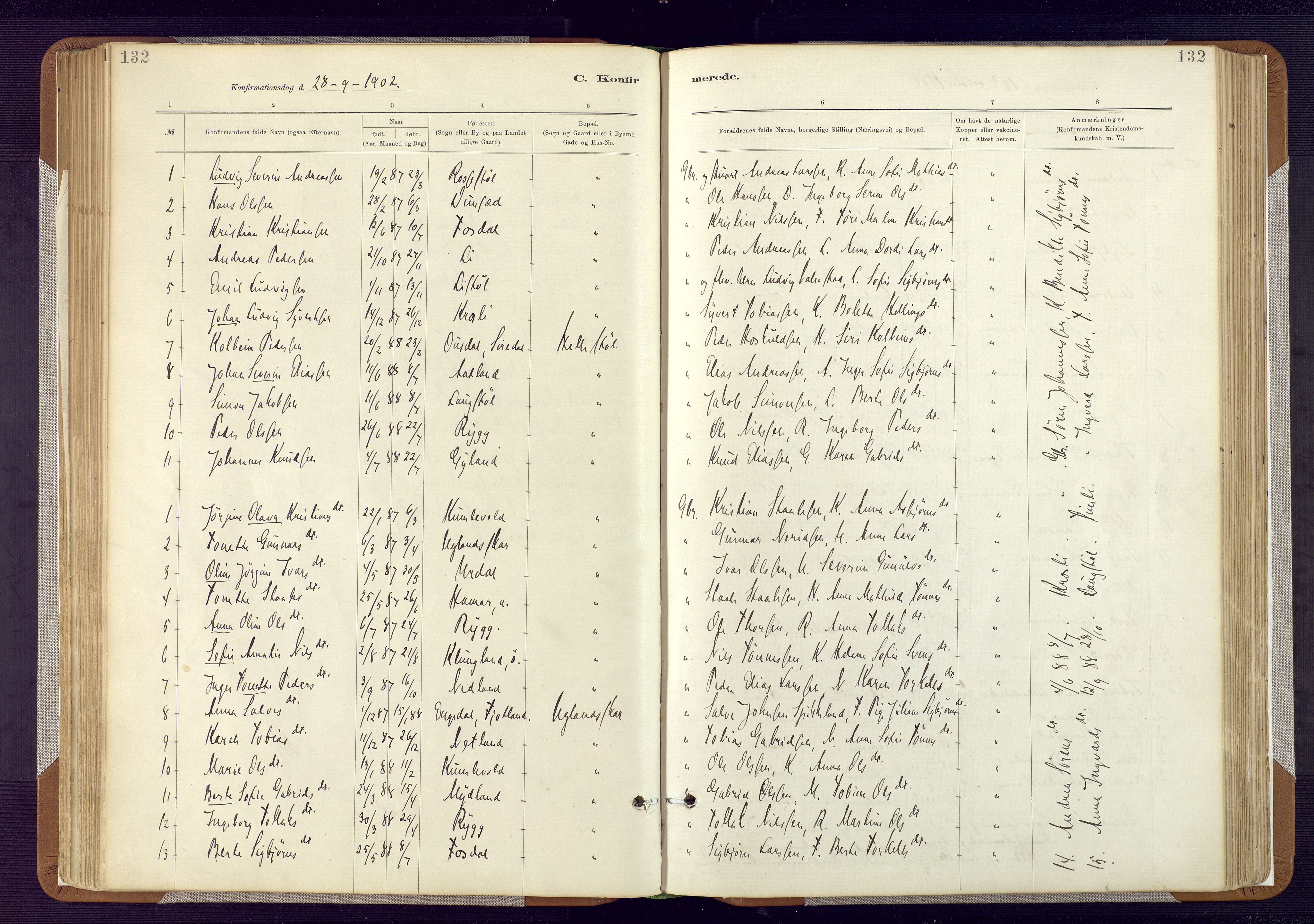 Bakke sokneprestkontor, SAK/1111-0002/F/Fa/Fab/L0003: Parish register (official) no. A 3, 1884-1921, p. 132