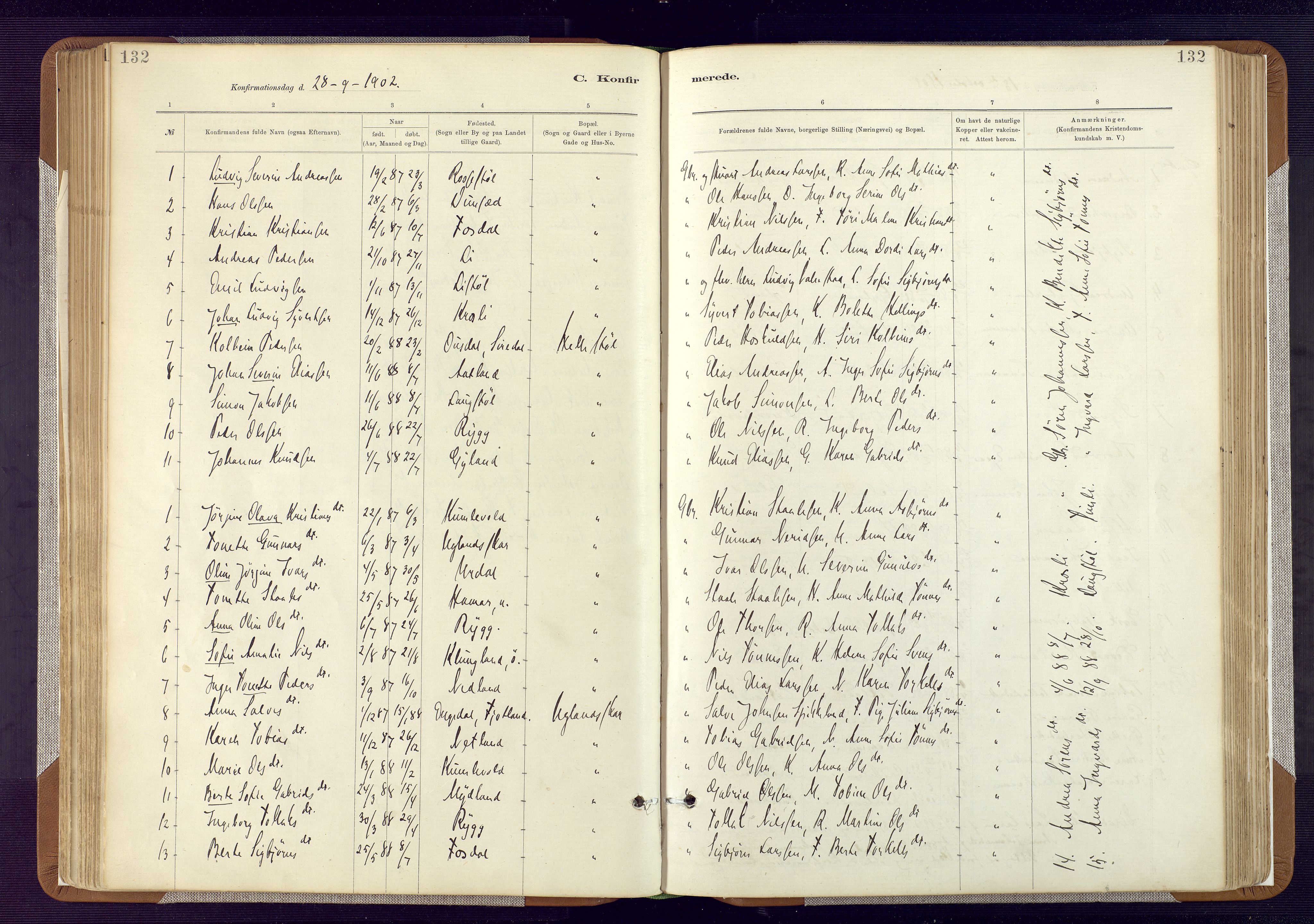 Bakke sokneprestkontor, AV/SAK-1111-0002/F/Fa/Fab/L0003: Parish register (official) no. A 3, 1884-1921, p. 132