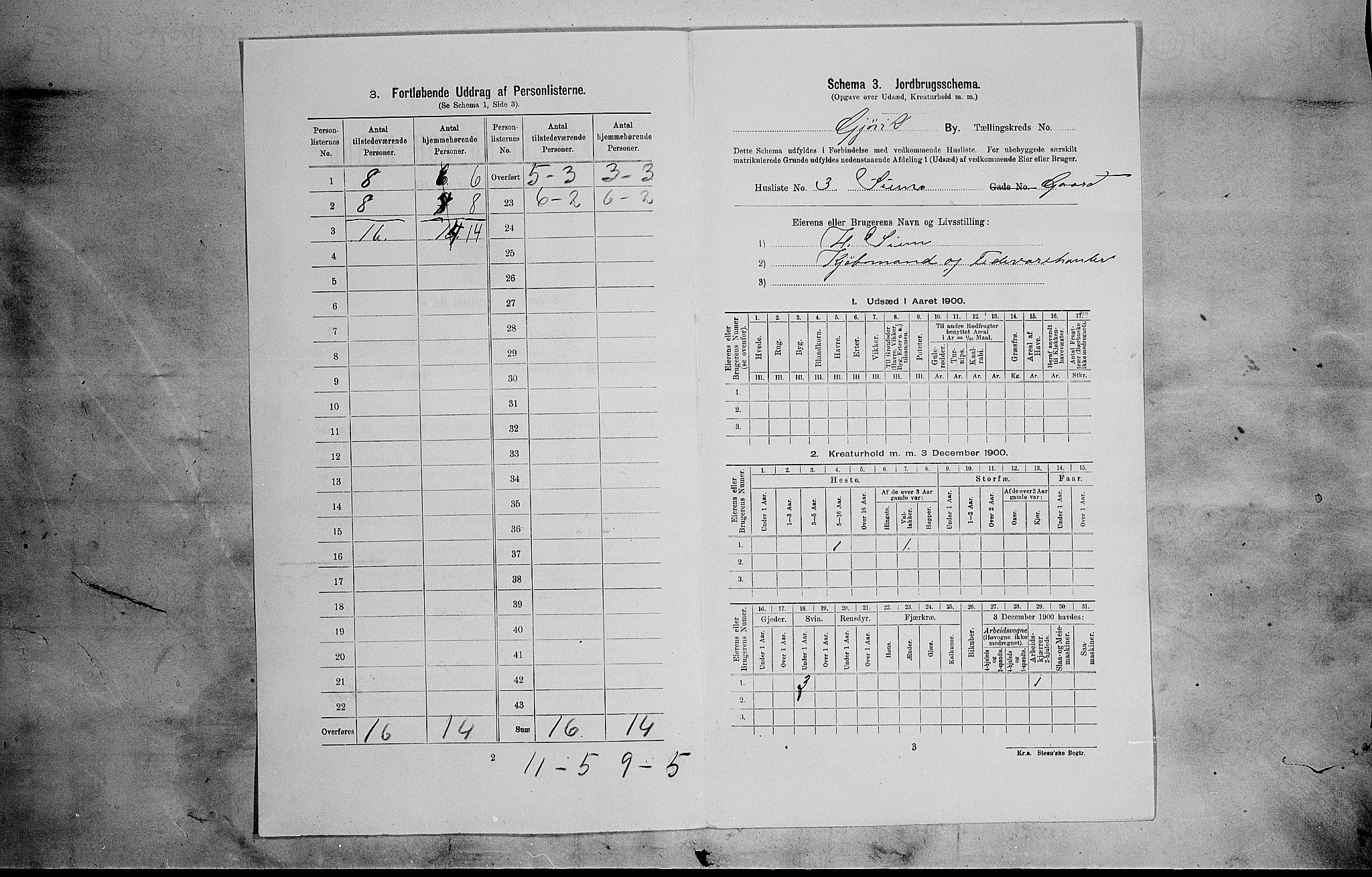 SAH, 1900 census for Gjøvik, 1900, p. 332