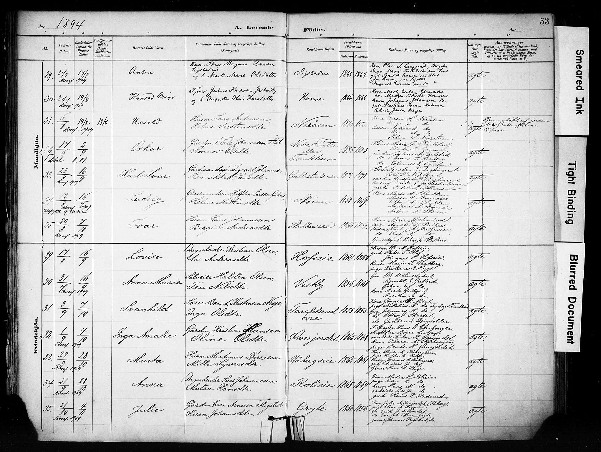 Biri prestekontor, SAH/PREST-096/H/Ha/Haa/L0009: Parish register (official) no. 9, 1887-1900, p. 53