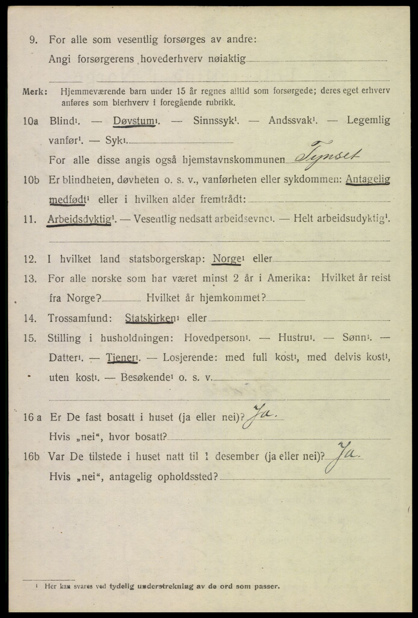 SAH, 1920 census for Tynset, 1920, p. 3173