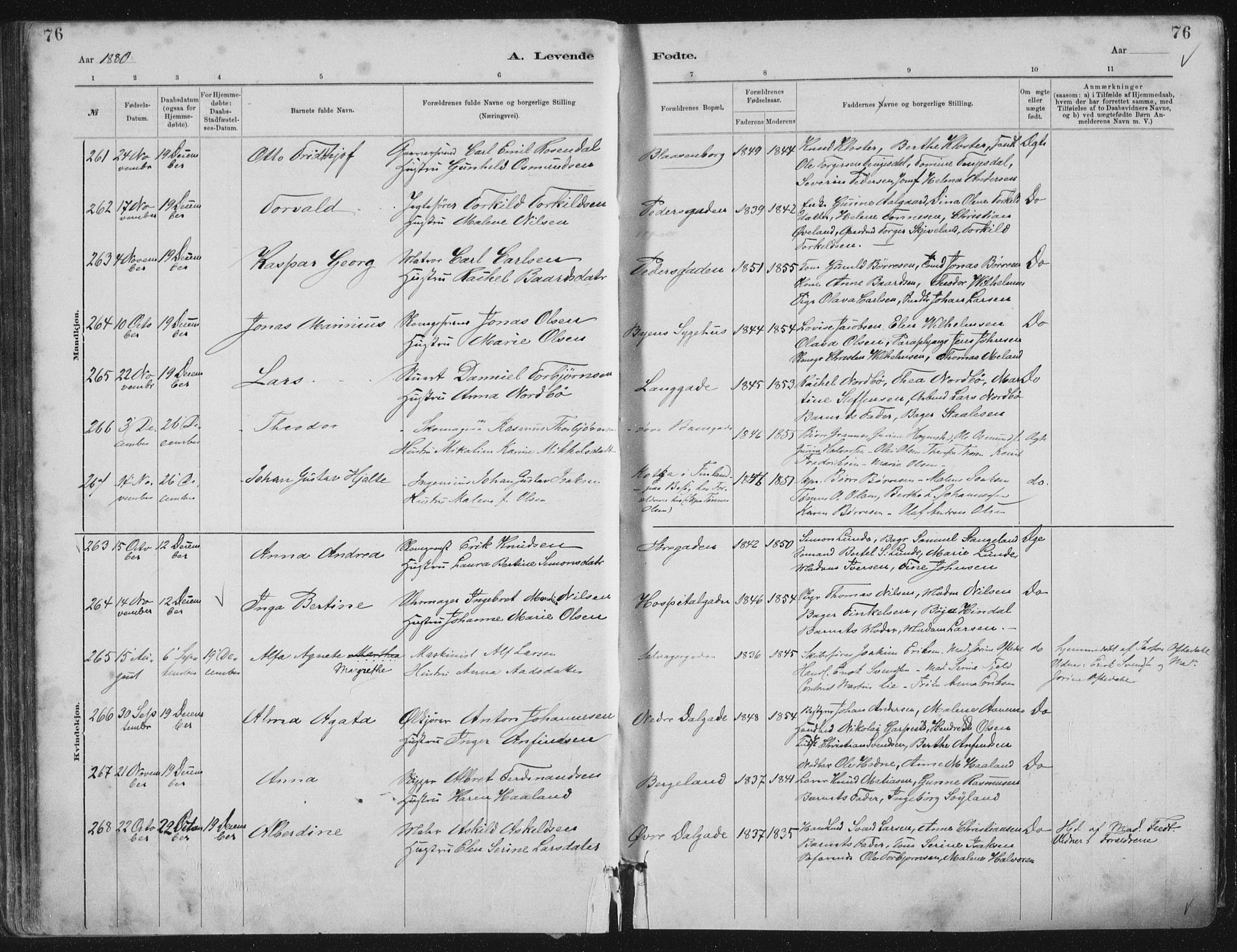 St. Petri sokneprestkontor, AV/SAST-A-101813/001/30/30BA/L0015: Parish register (official) no. A 15, 1879-1888, p. 76