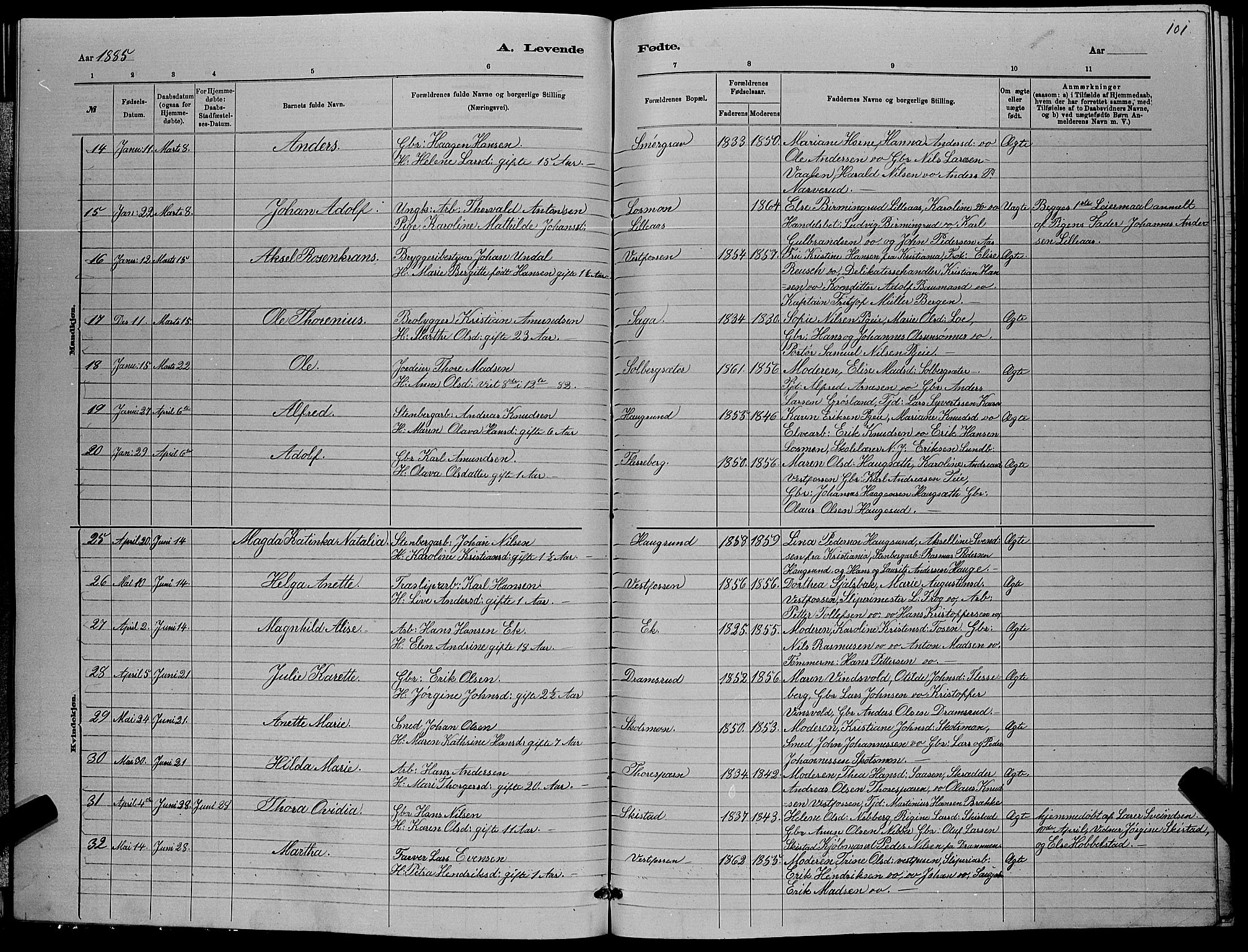 Eiker kirkebøker, AV/SAKO-A-4/G/Ga/L0005: Parish register (copy) no. I 5, 1878-1887, p. 101