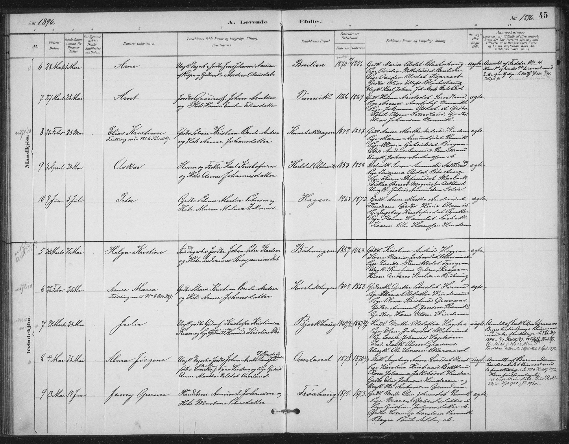 Ministerialprotokoller, klokkerbøker og fødselsregistre - Nord-Trøndelag, SAT/A-1458/702/L0023: Parish register (official) no. 702A01, 1883-1897, p. 45