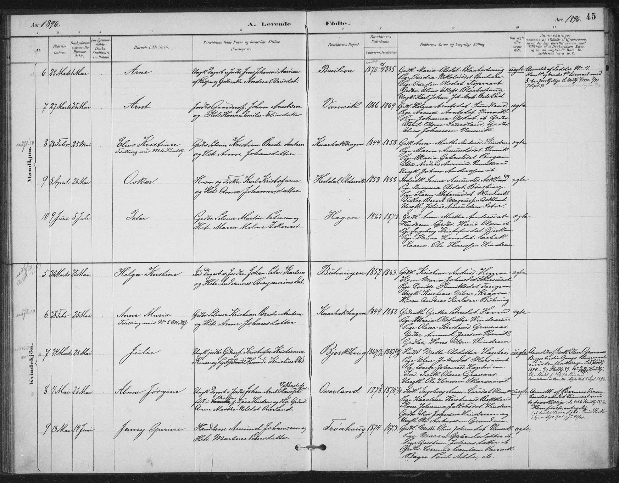 Ministerialprotokoller, klokkerbøker og fødselsregistre - Nord-Trøndelag, AV/SAT-A-1458/702/L0023: Parish register (official) no. 702A01, 1883-1897, p. 45