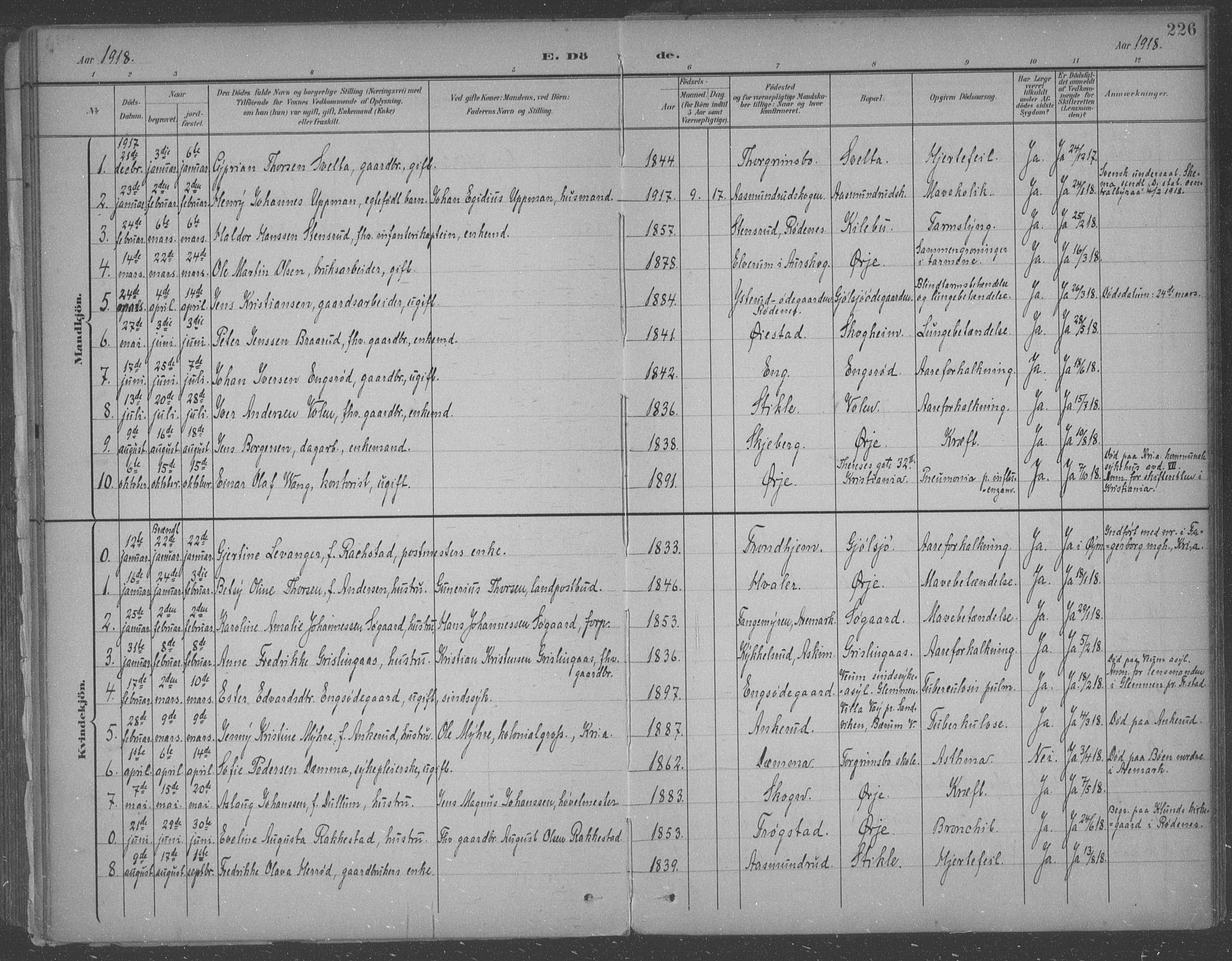 Aremark prestekontor Kirkebøker, SAO/A-10899/F/Fb/L0005: Parish register (official) no. II 5, 1895-1919, p. 226