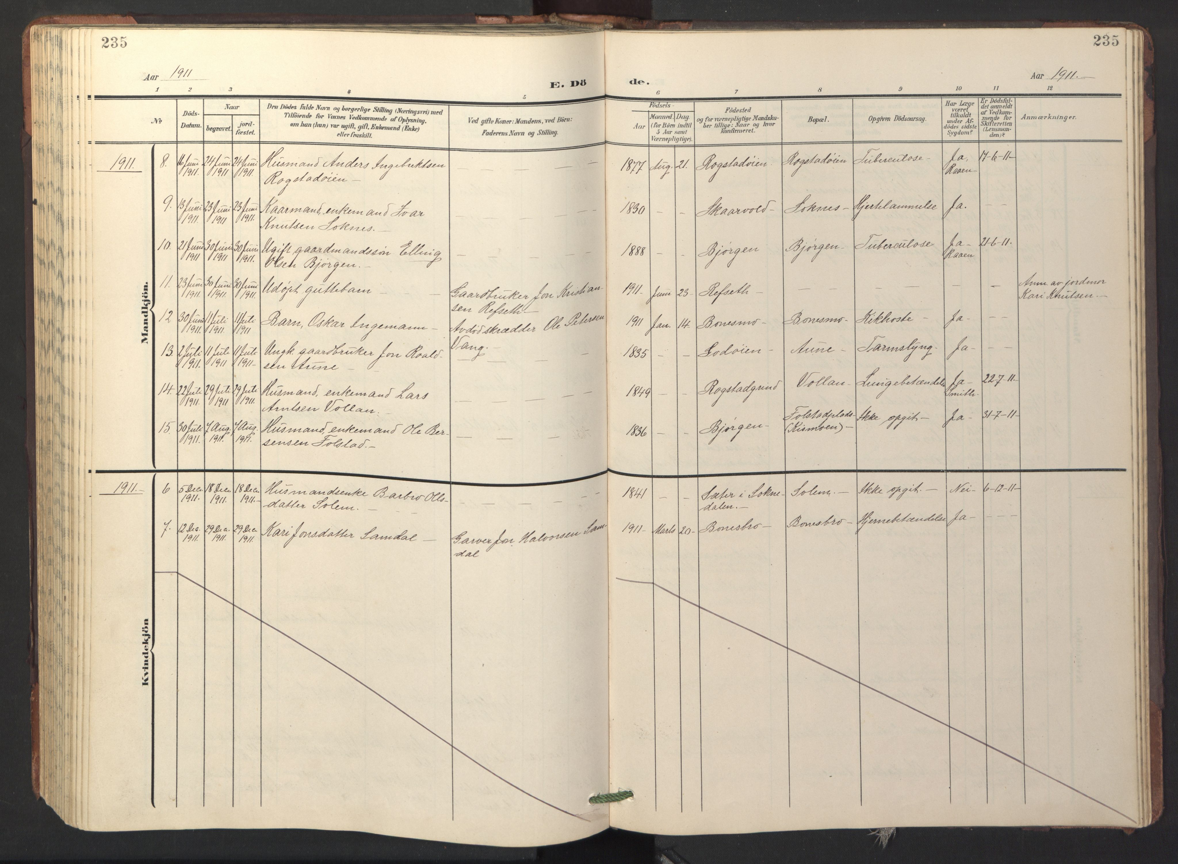 Ministerialprotokoller, klokkerbøker og fødselsregistre - Sør-Trøndelag, SAT/A-1456/687/L1019: Parish register (copy) no. 687C03, 1904-1931, p. 235