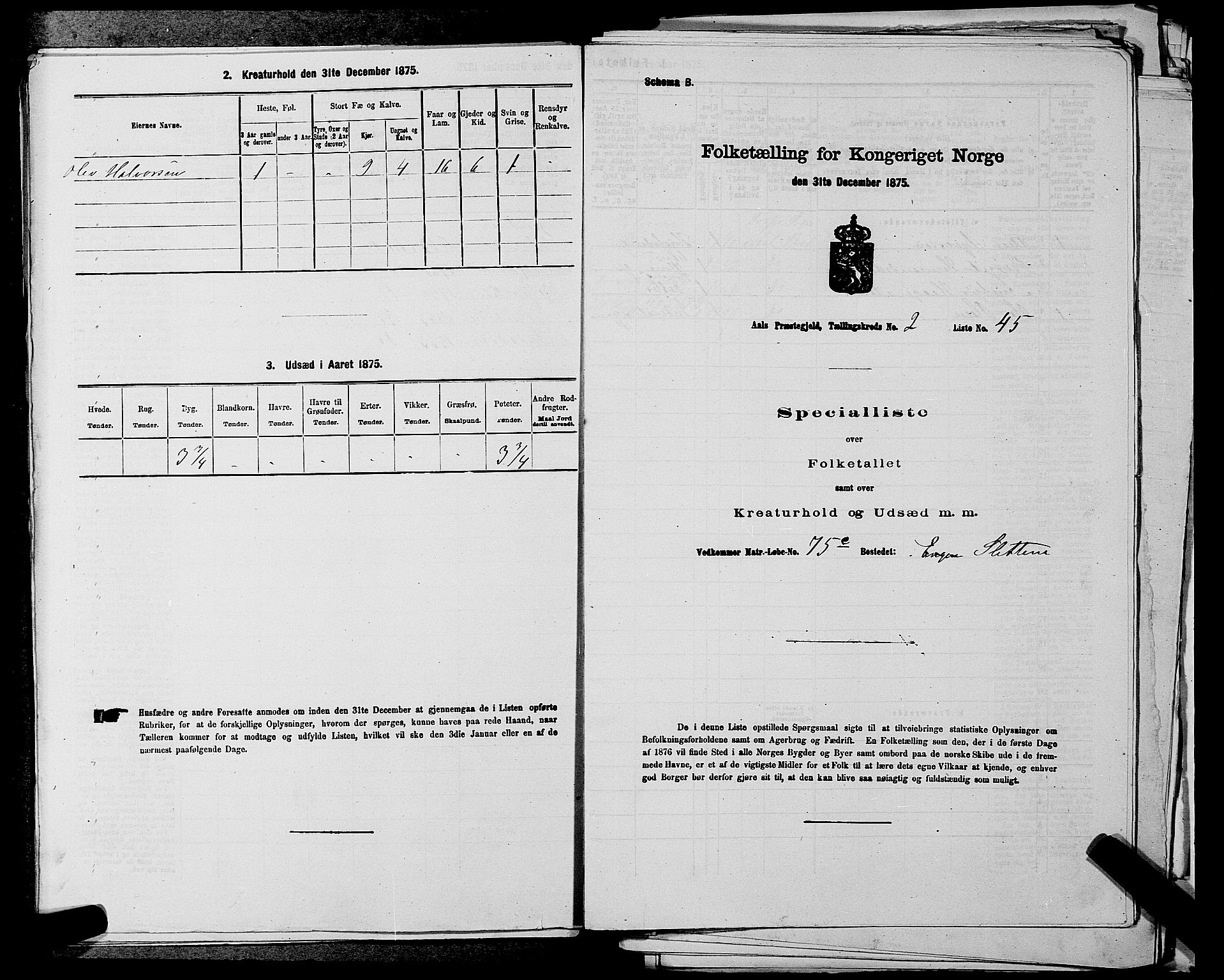 SAKO, 1875 census for 0619P Ål, 1875, p. 303