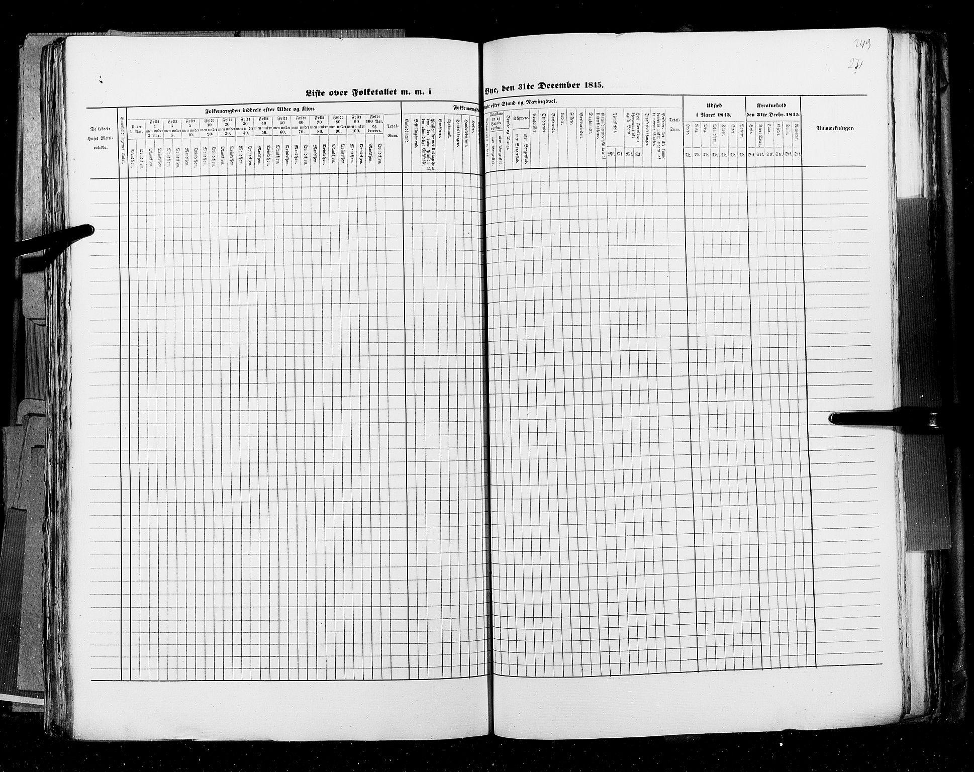 RA, Census 1845, vol. 11: Cities, 1845, p. 251