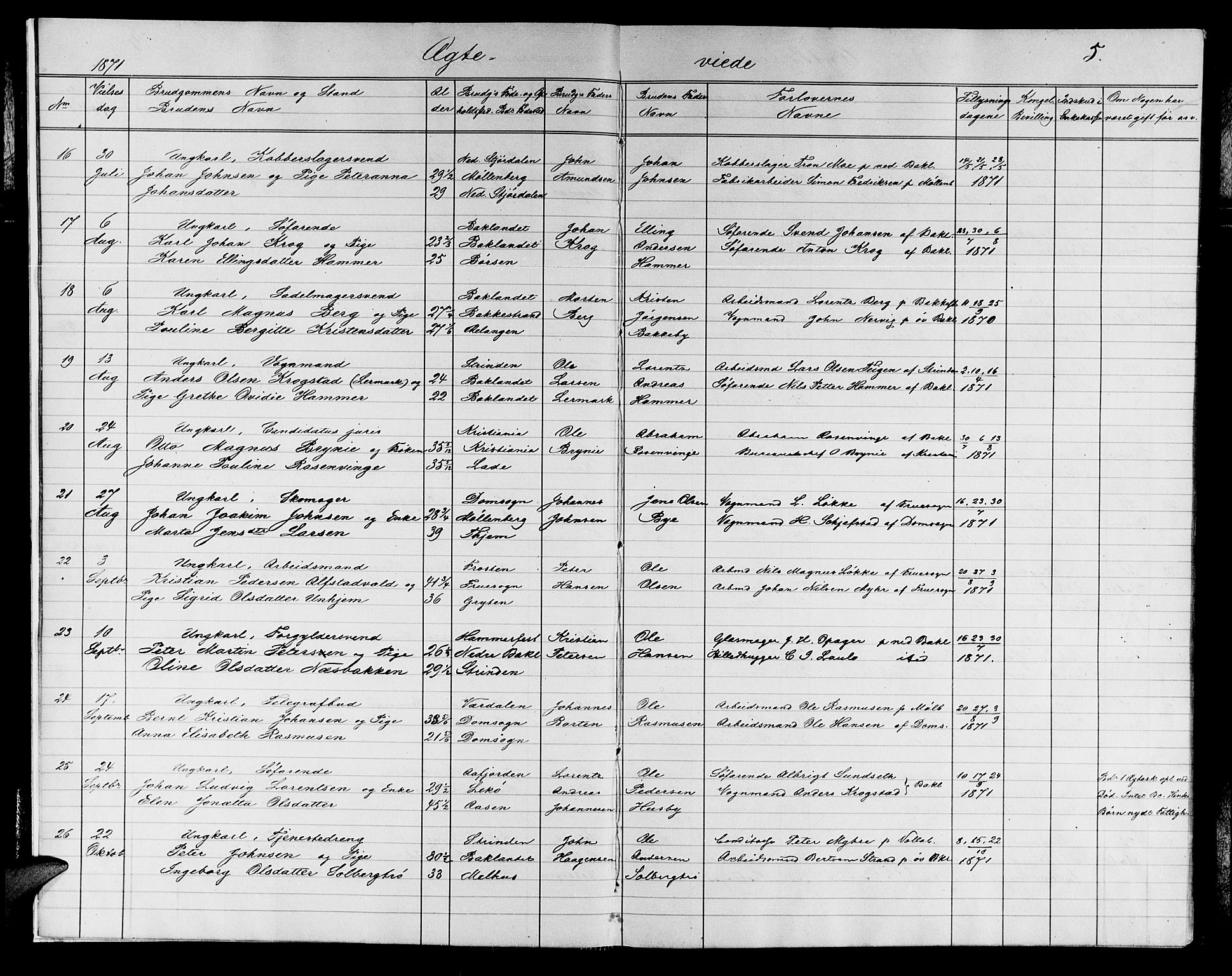 Ministerialprotokoller, klokkerbøker og fødselsregistre - Sør-Trøndelag, SAT/A-1456/604/L0221: Parish register (copy) no. 604C04, 1870-1885, p. 5