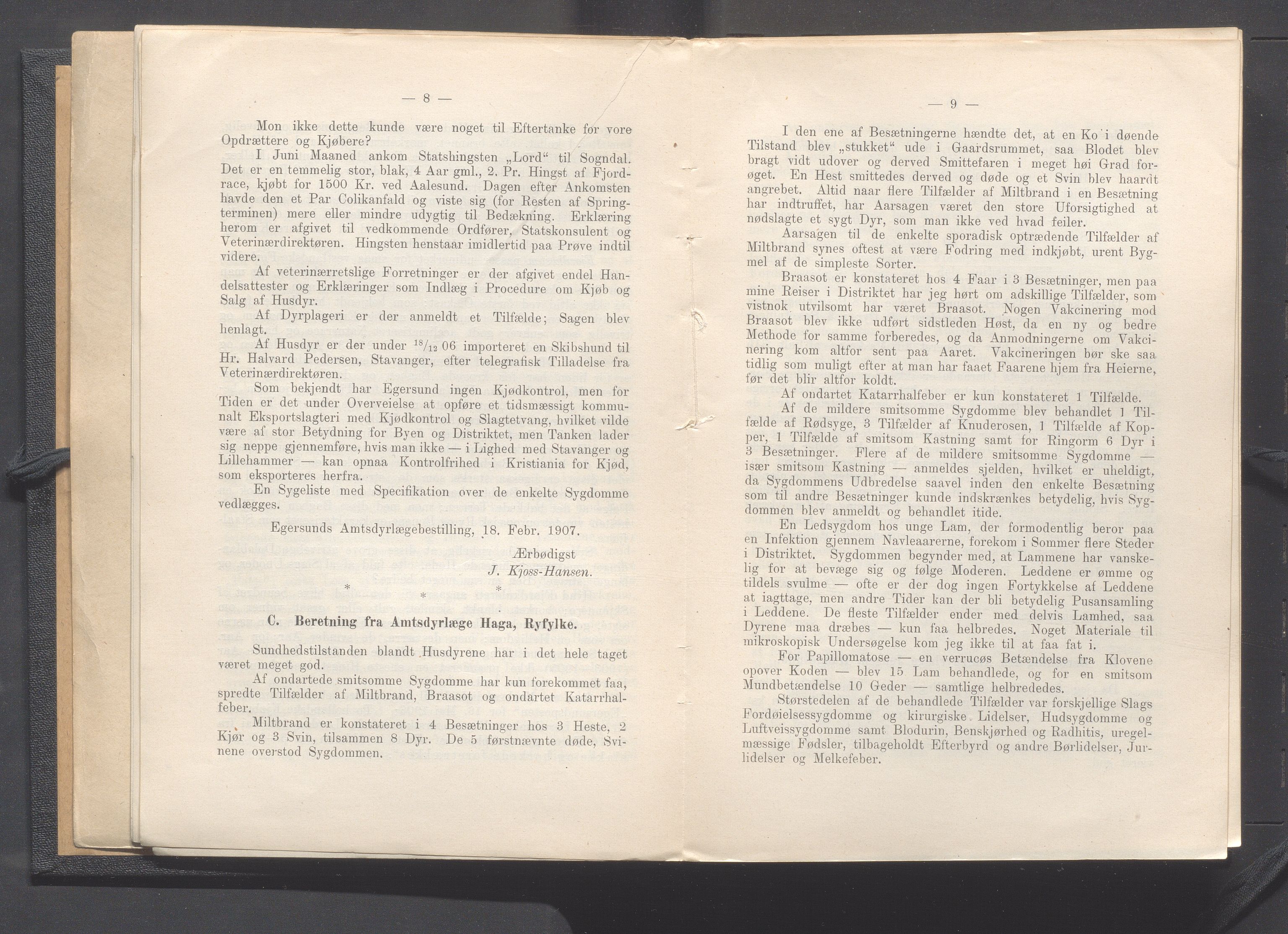 Rogaland fylkeskommune - Fylkesrådmannen , IKAR/A-900/A, 1908, p. 10