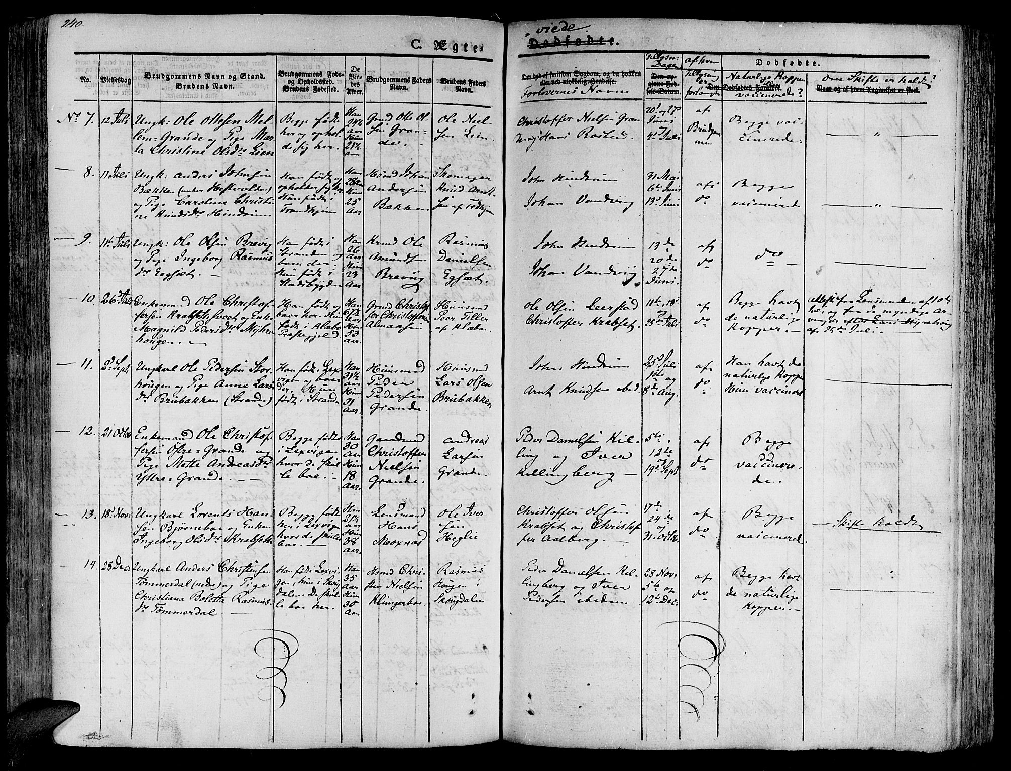 Ministerialprotokoller, klokkerbøker og fødselsregistre - Nord-Trøndelag, SAT/A-1458/701/L0006: Parish register (official) no. 701A06, 1825-1841, p. 240