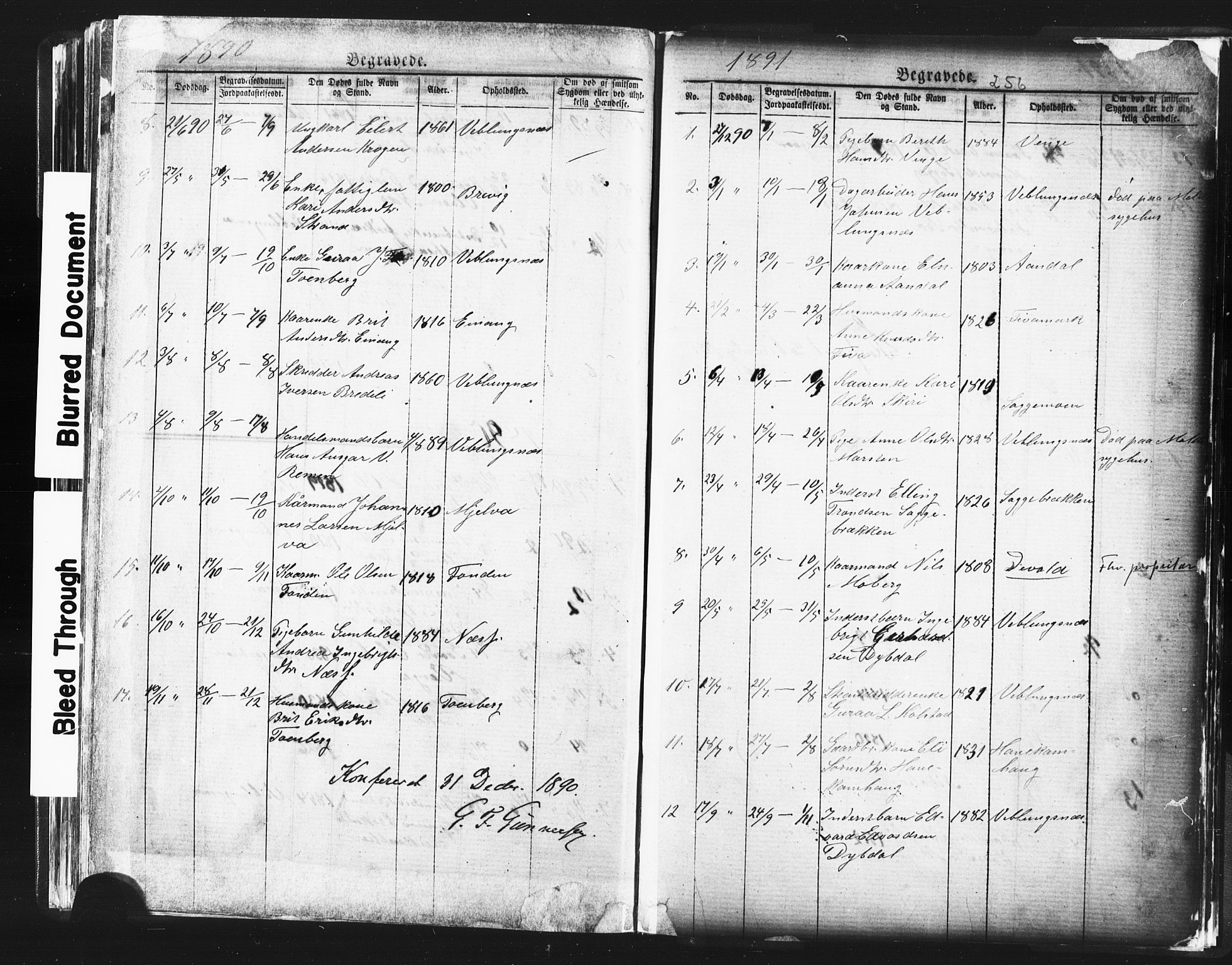 Ministerialprotokoller, klokkerbøker og fødselsregistre - Møre og Romsdal, SAT/A-1454/544/L0580: Parish register (copy) no. 544C02, 1867-1909, p. 256