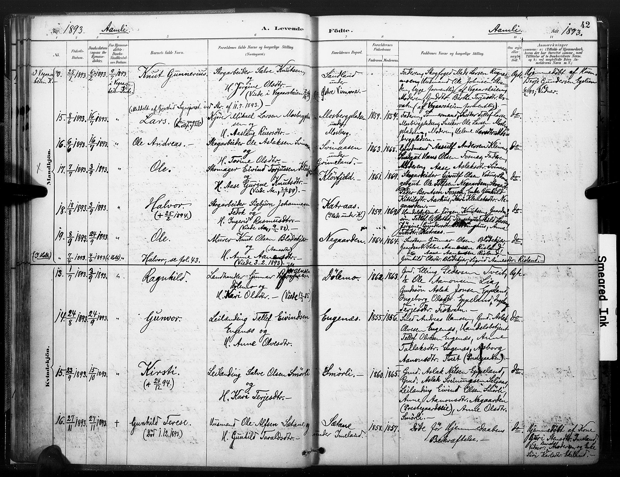 Åmli sokneprestkontor, AV/SAK-1111-0050/F/Fa/Fac/L0010: Parish register (official) no. A 10 /1, 1885-1899, p. 42