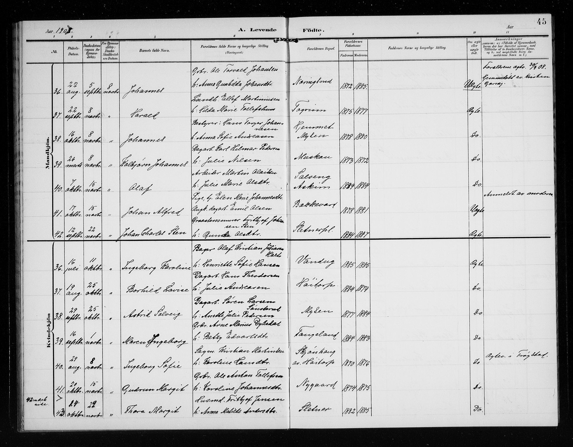 Eidsberg prestekontor Kirkebøker, AV/SAO-A-10905/G/Ga/L0002: Parish register (copy) no. I 2, 1903-1913, p. 45