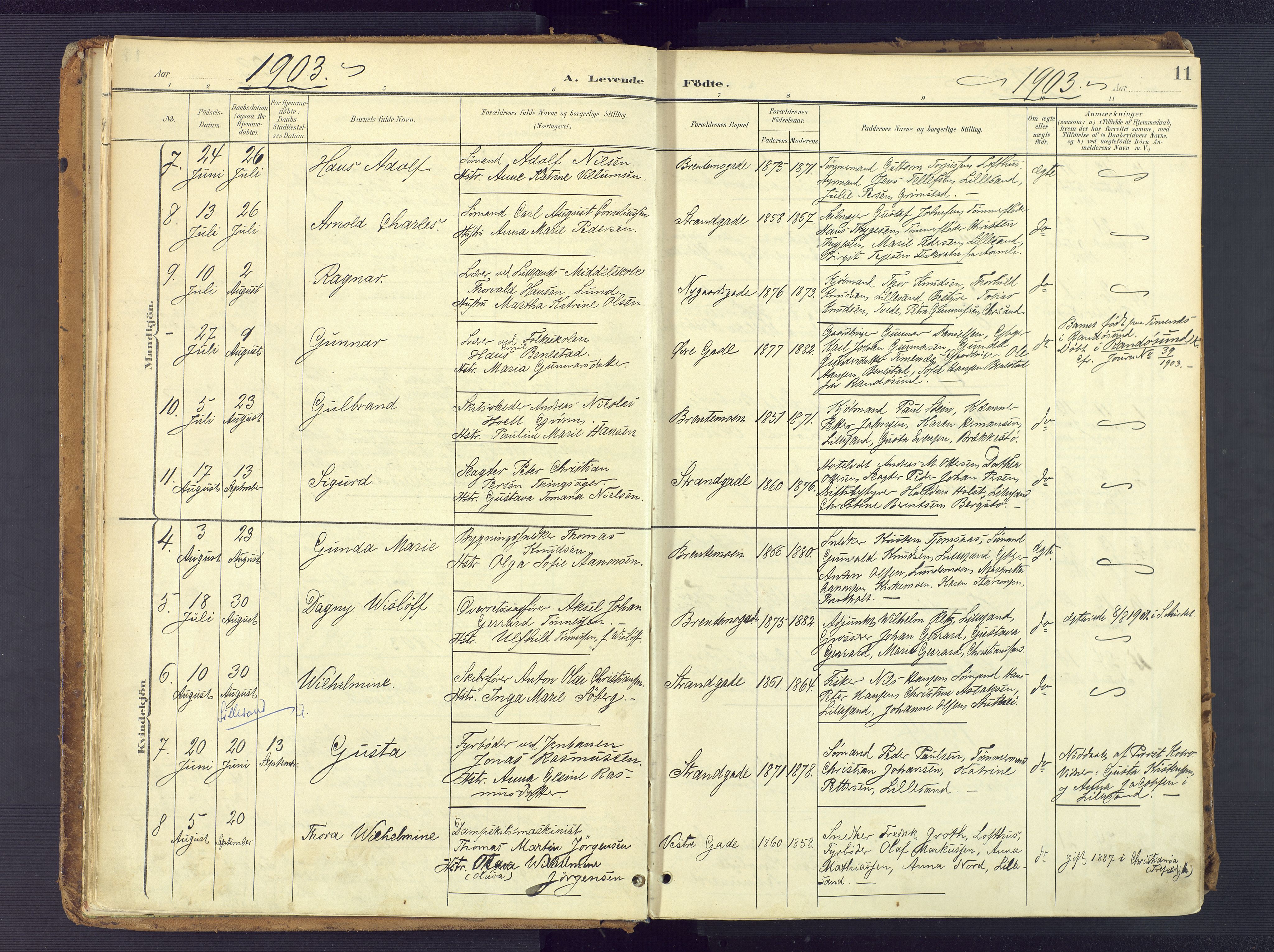 Vestre Moland sokneprestkontor, SAK/1111-0046/F/Fa/Faa/L0002: Parish register (official) no. A 2, 1900-1926, p. 11