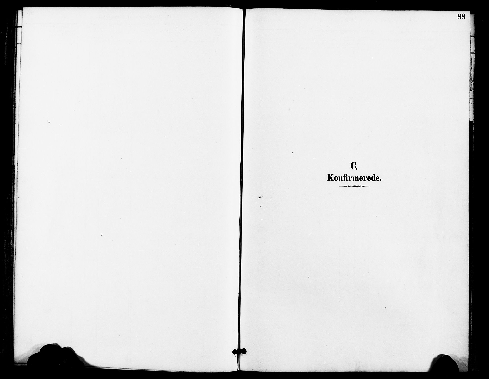 Kistrand/Porsanger sokneprestembete, AV/SATØ-S-1351/H/Ha/L0008.kirke: Parish register (official) no. 8, 1890-1898, p. 88