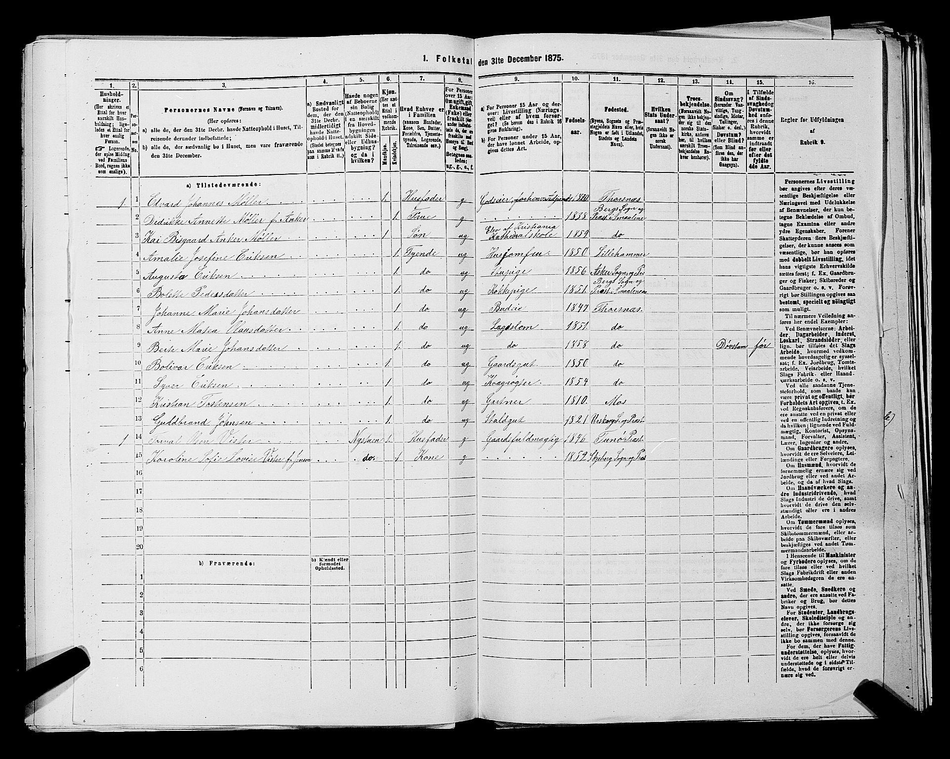 RA, 1875 census for 0113P Borge, 1875, p. 1100