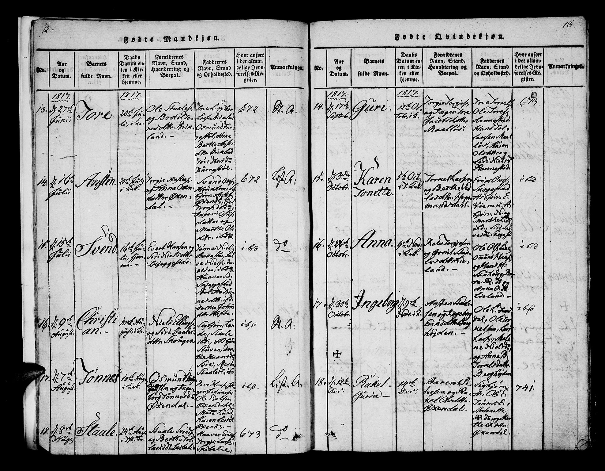Bakke sokneprestkontor, SAK/1111-0002/F/Fa/Faa/L0003: Parish register (official) no. A 3, 1815-1835, p. 12-13