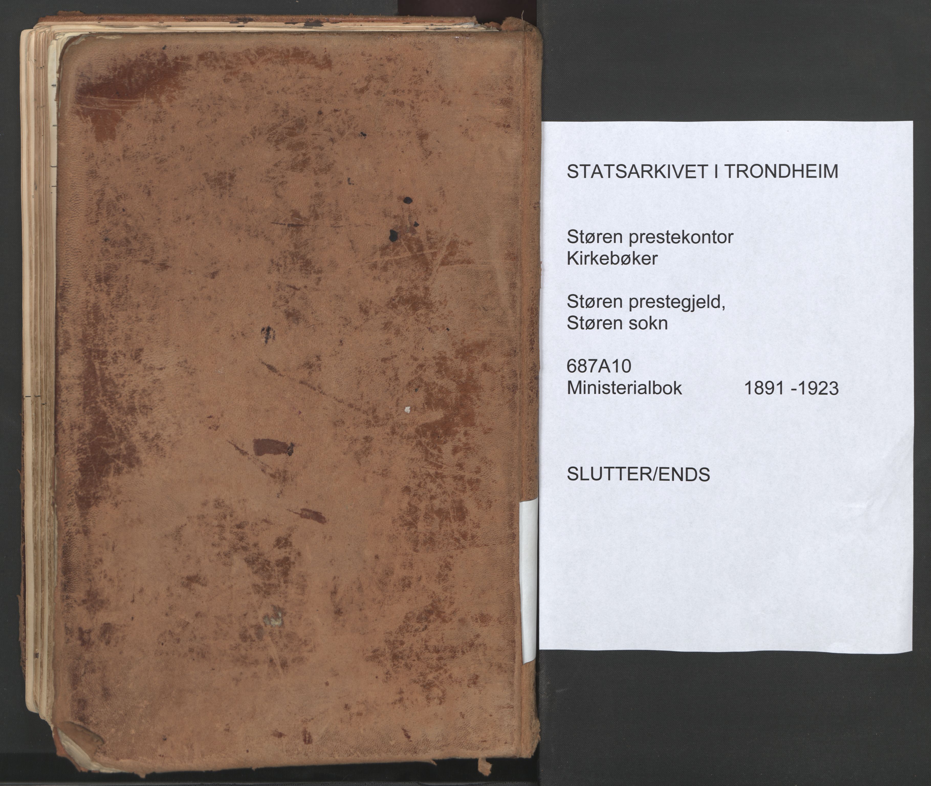 Ministerialprotokoller, klokkerbøker og fødselsregistre - Sør-Trøndelag, SAT/A-1456/687/L1004: Parish register (official) no. 687A10, 1891-1923