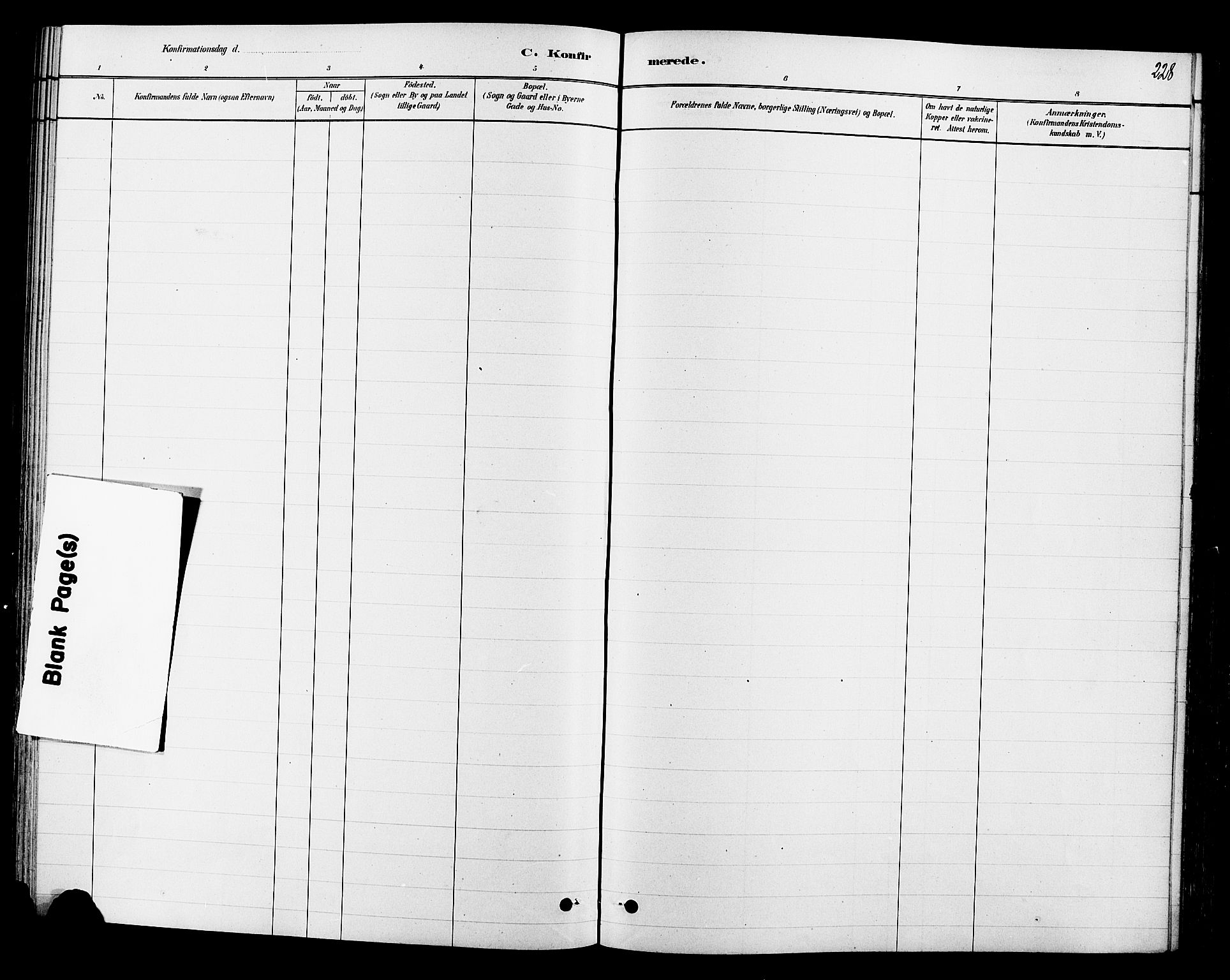 Ringsaker prestekontor, AV/SAH-PREST-014/L/La/L0009: Parish register (copy) no. 9, 1879-1890, p. 228