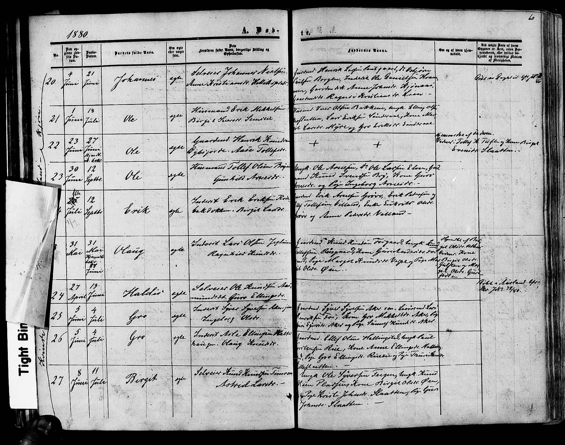 Hol kirkebøker, AV/SAKO-A-227/F/Fa/L0002: Parish register (official) no. I 2, 1870-1886, p. 60