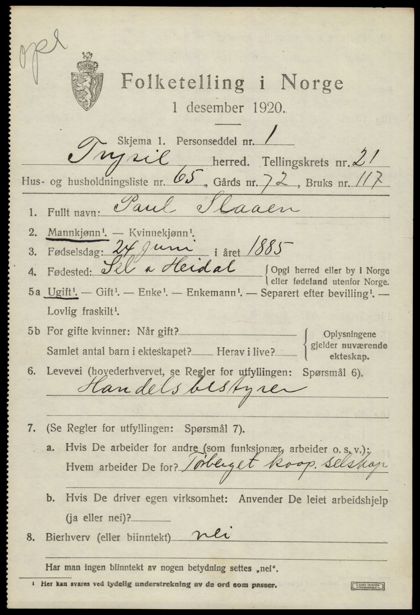 SAH, 1920 census for Trysil, 1920, p. 14537