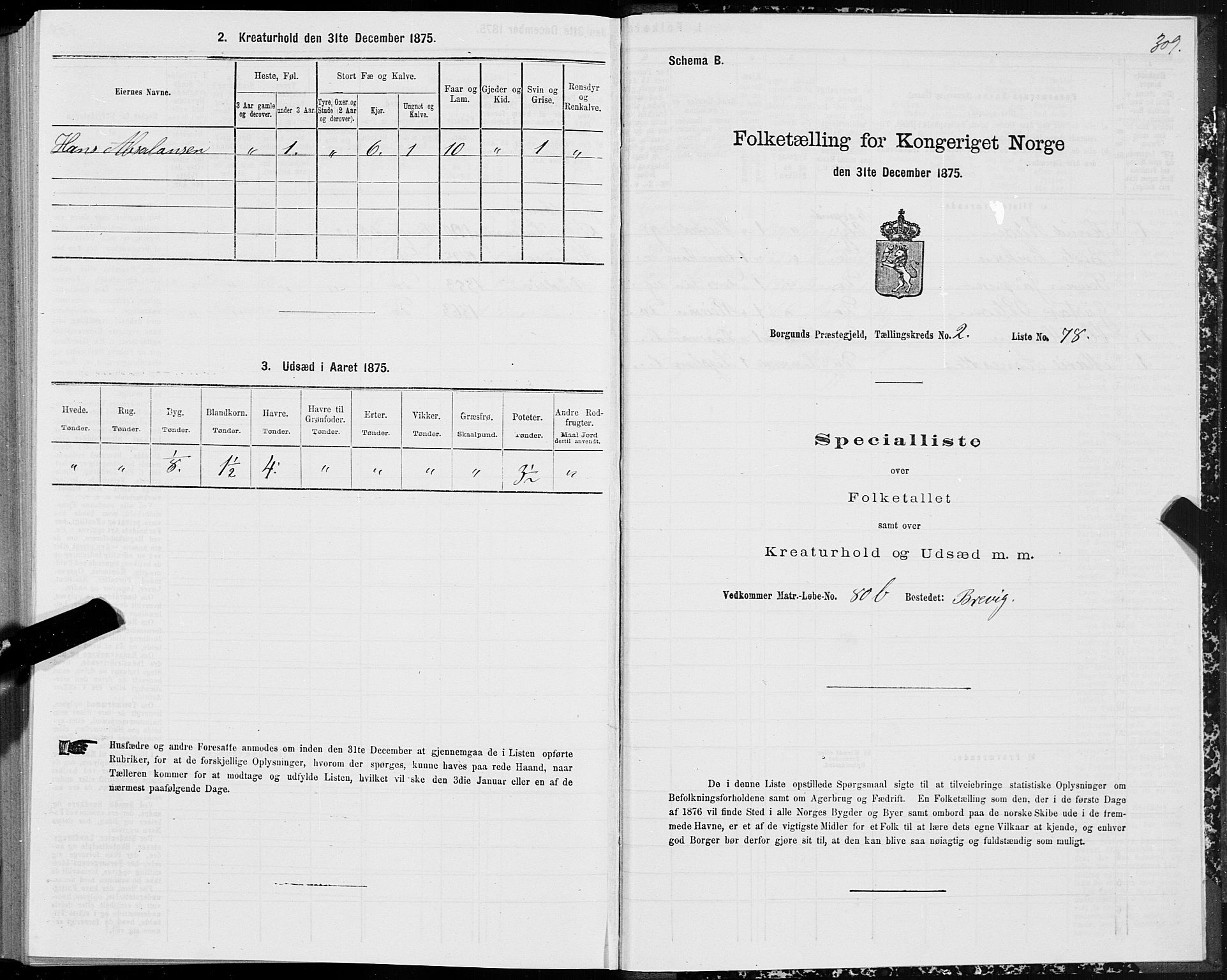 SAT, 1875 census for 1531P Borgund, 1875, p. 1309