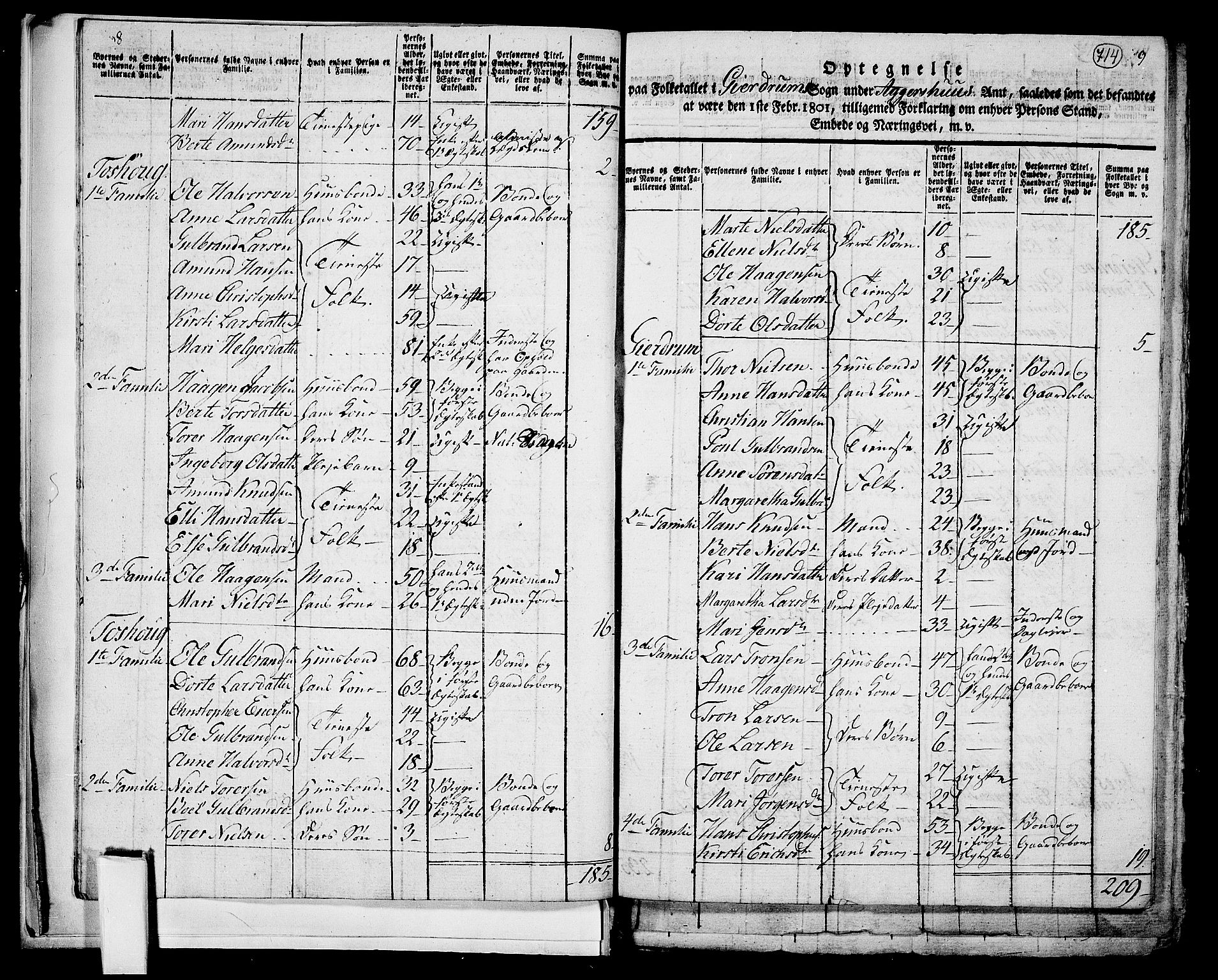 RA, 1801 census for 0234P Gjerdrum, 1801, p. 713b-714a