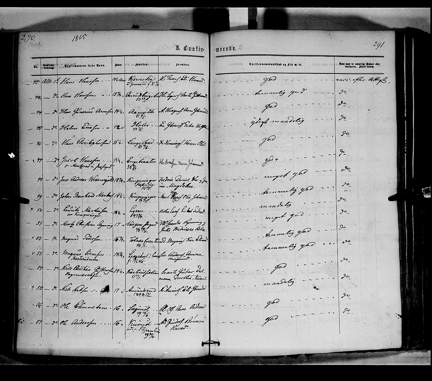 Vinger prestekontor, SAH/PREST-024/H/Ha/Haa/L0011: Parish register (official) no. 11, 1862-1870, p. 291